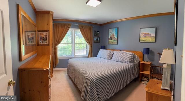357 Pleasant Valley Drive photo 23