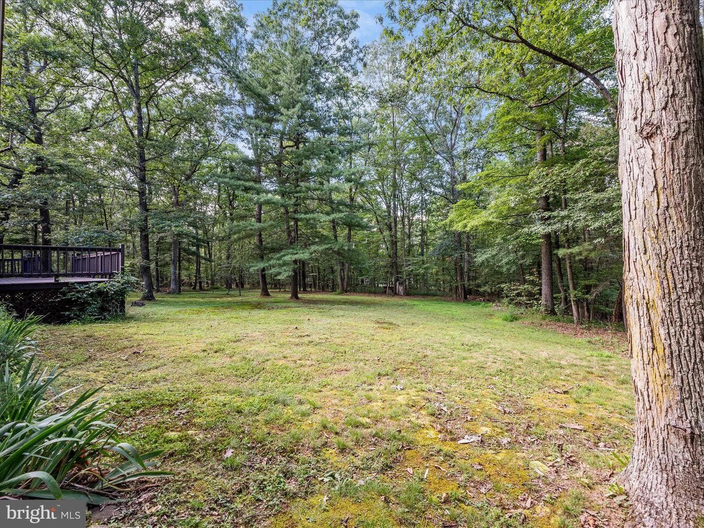30 Woodman Drive photo 41