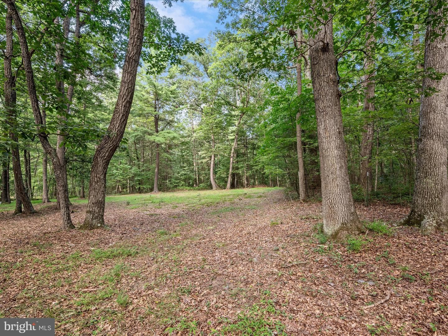 30 Woodman Drive photo 43