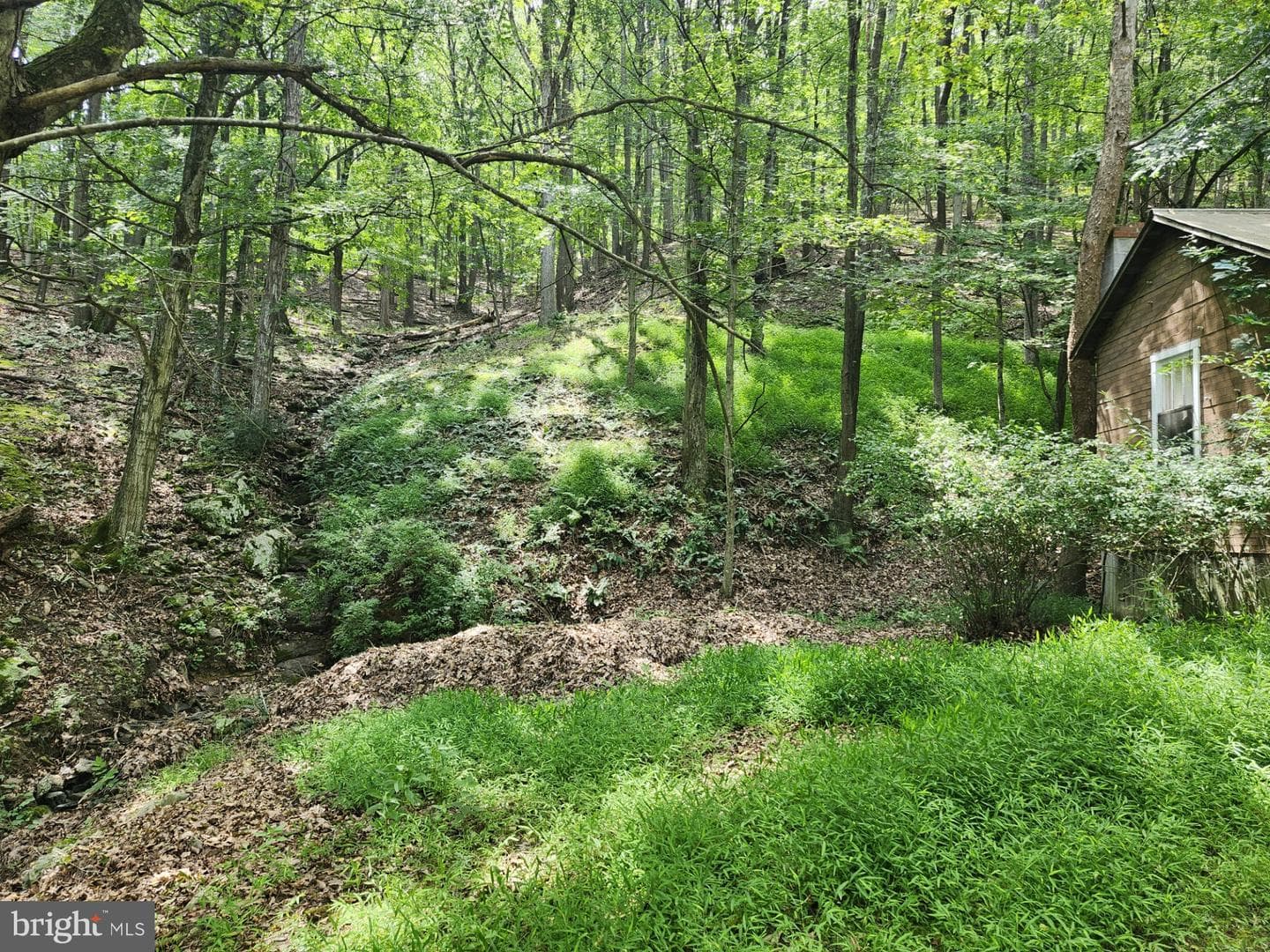 6836 State Road 55 photo 104