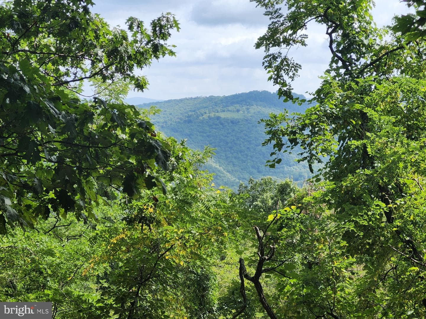 6836 State Road 55 photo 12