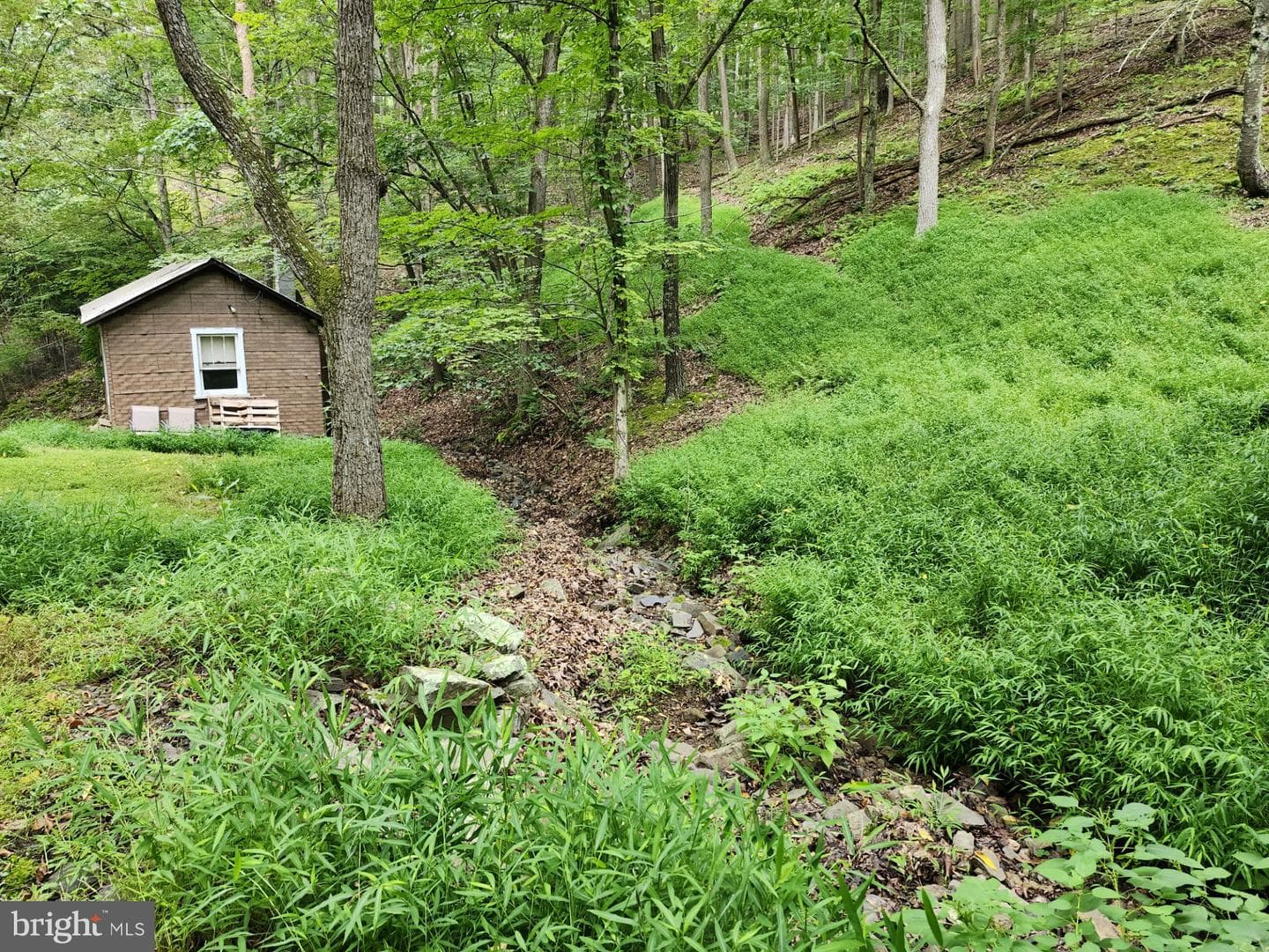 6836 State Road 55 photo 14
