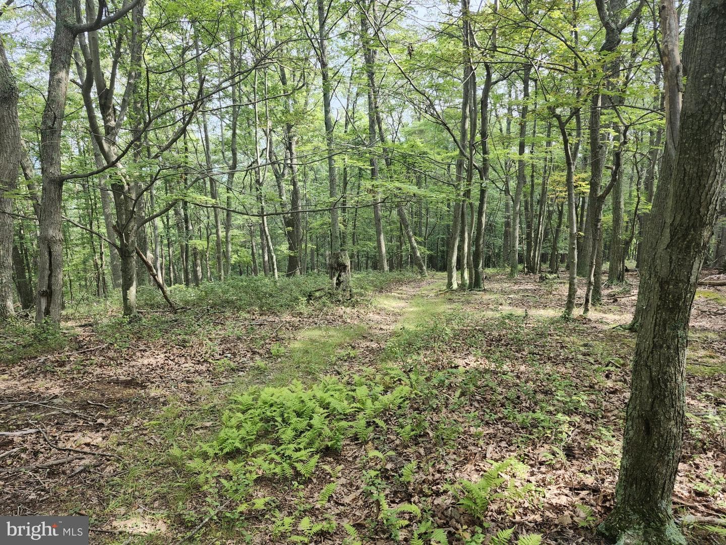 6836 State Road 55 photo 17