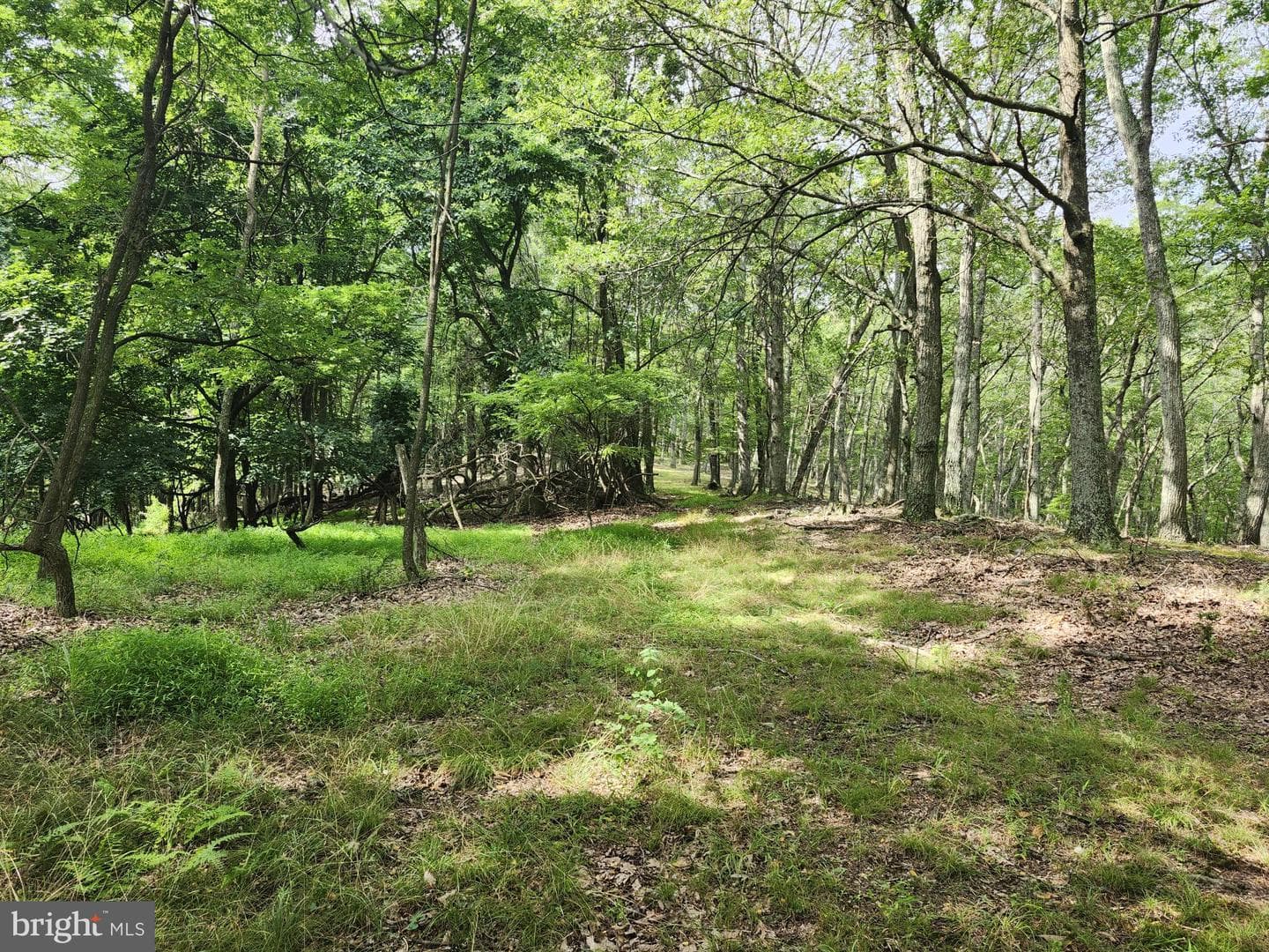 6836 State Road 55 photo 18