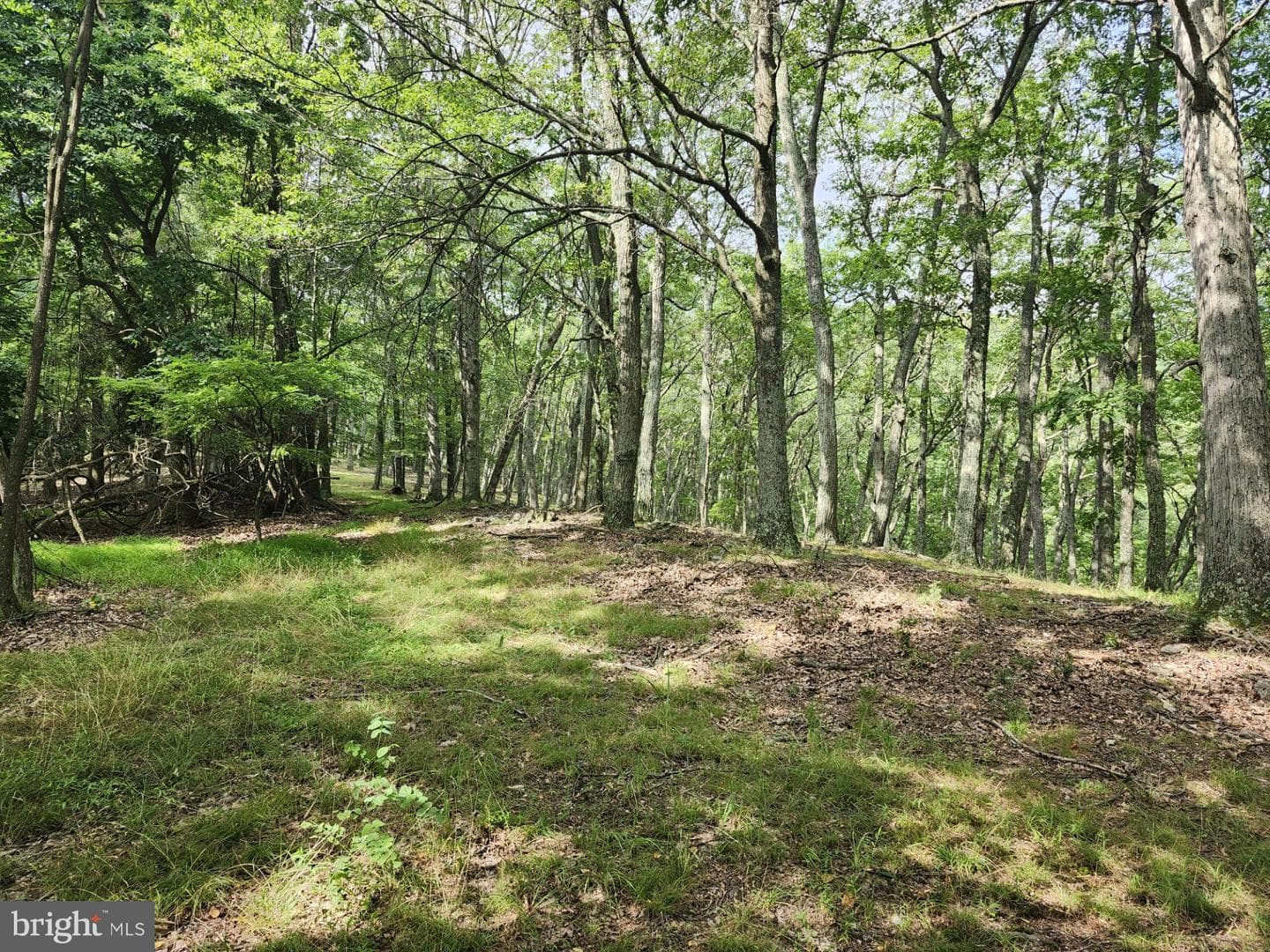 6836 State Road 55 photo 27