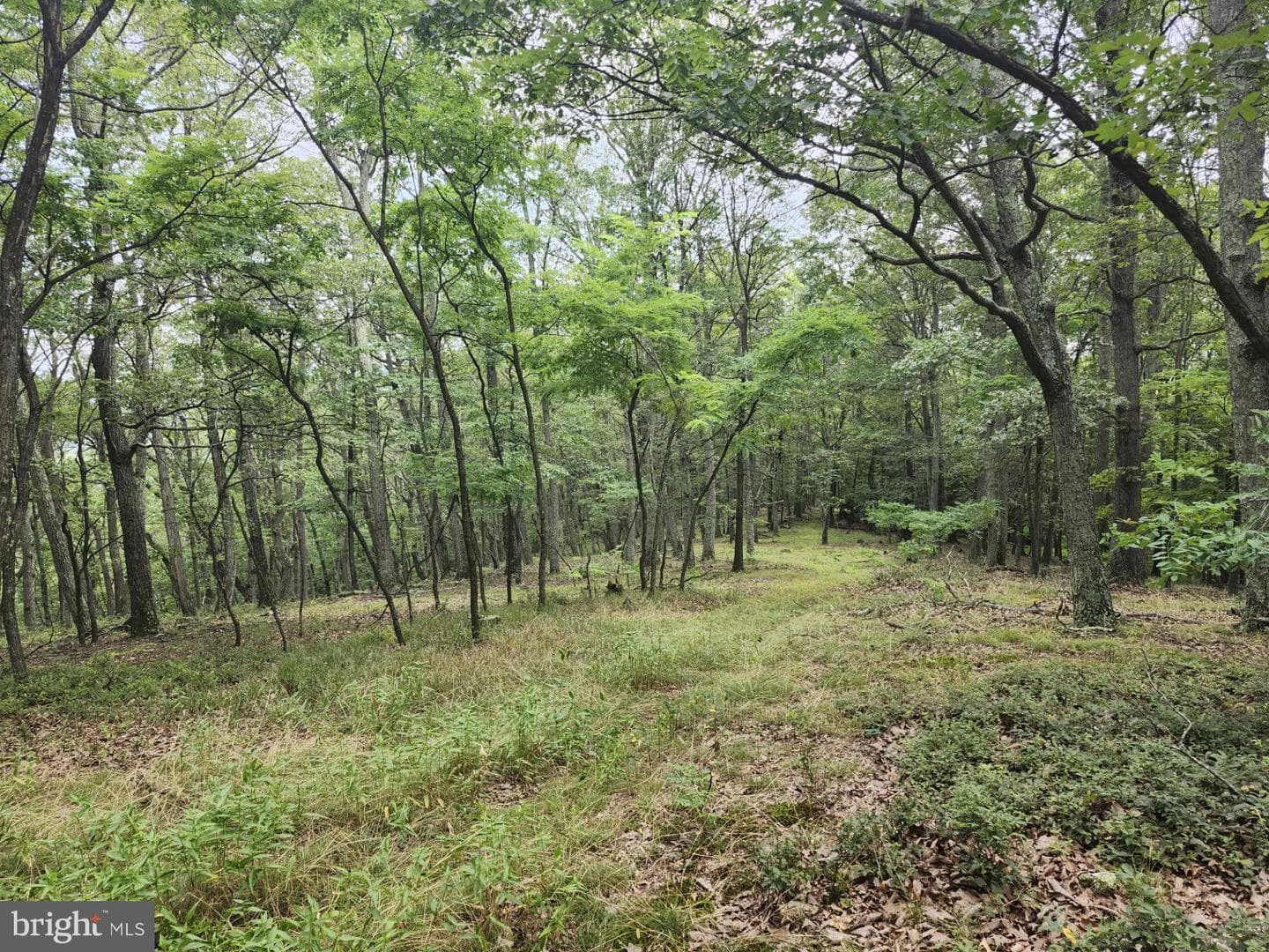 6836 State Road 55 photo 28