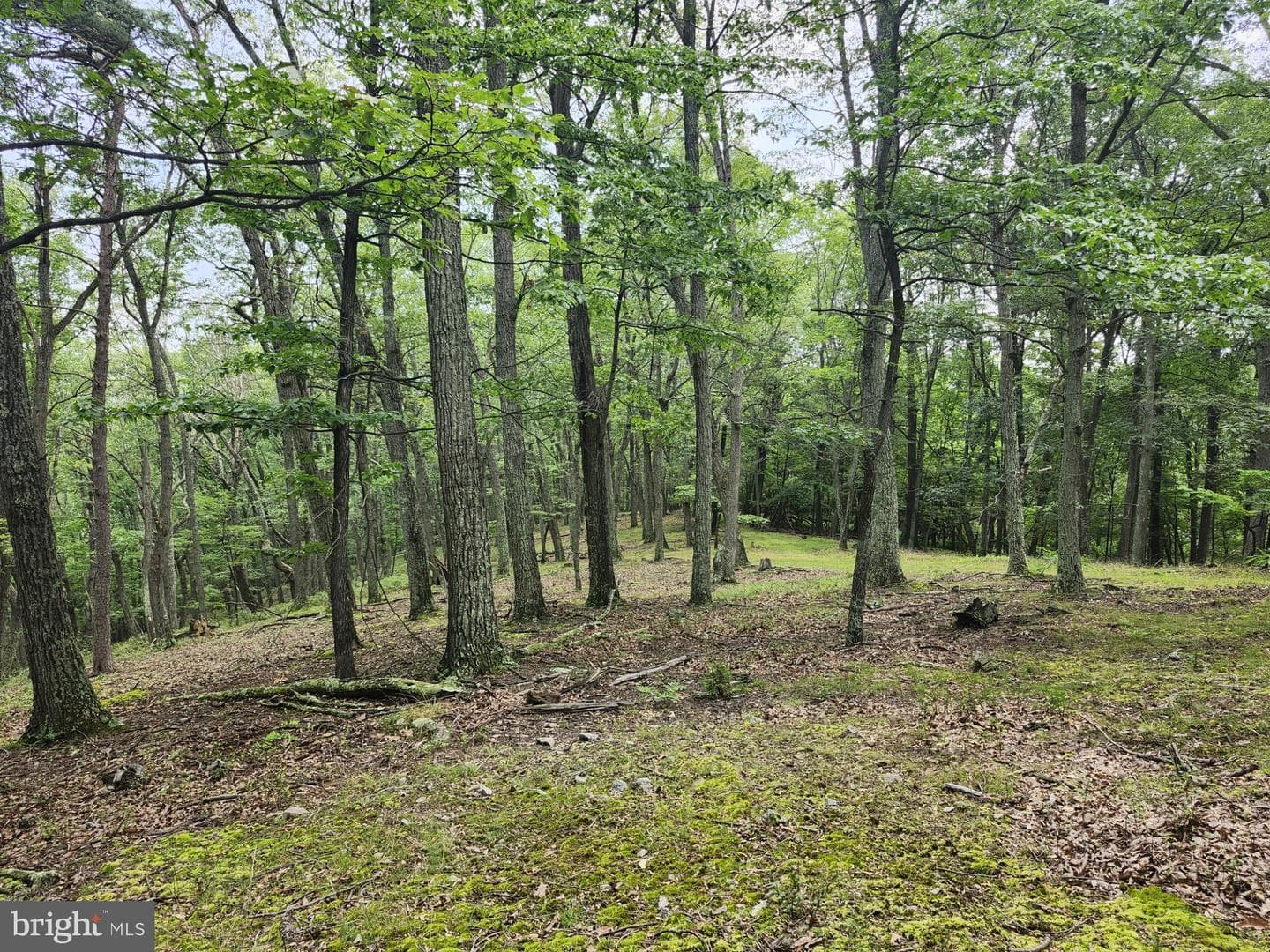 6836 State Road 55 photo 29