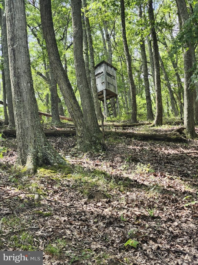 6836 State Road 55 photo 31