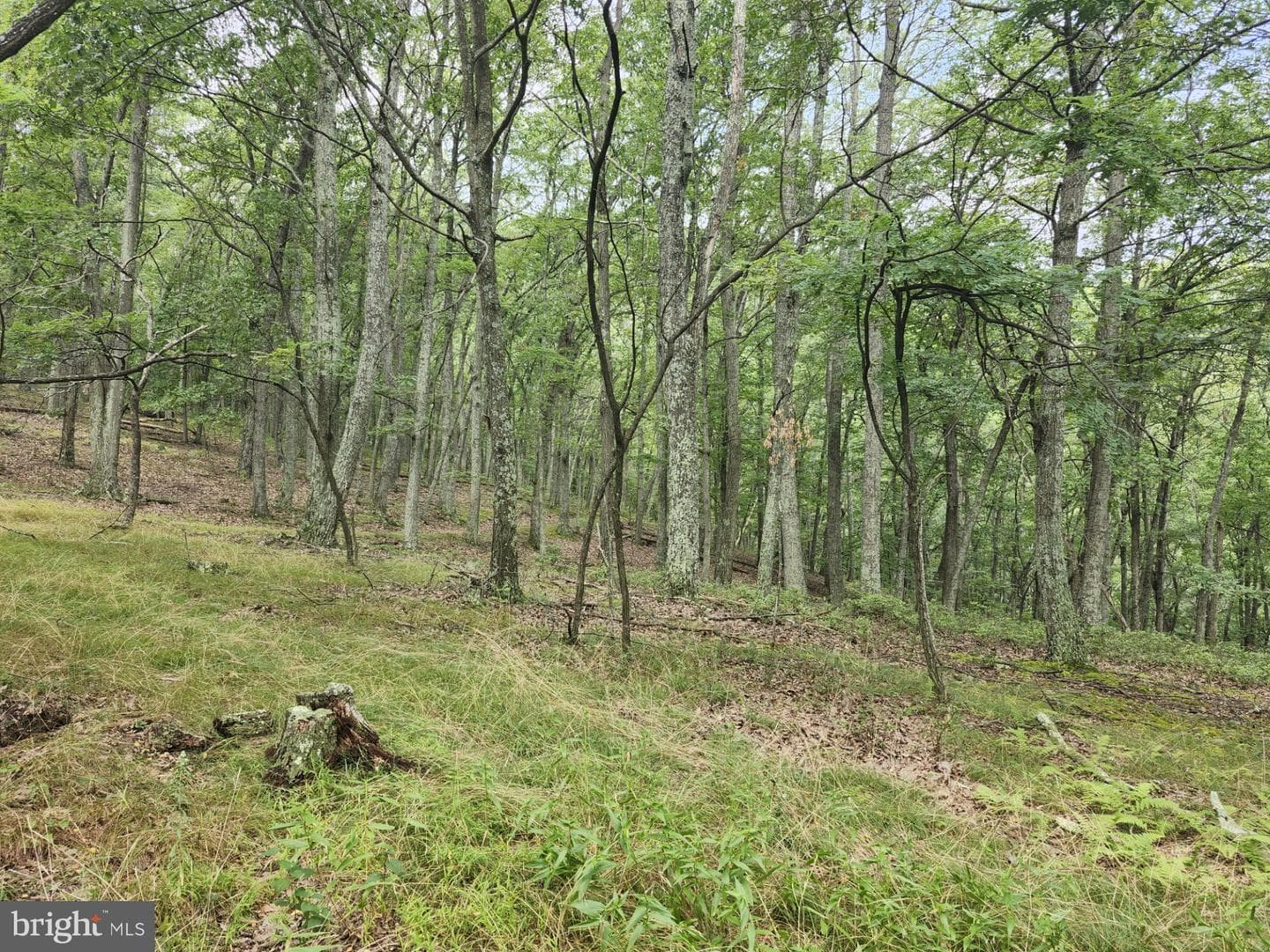 6836 State Road 55 photo 32