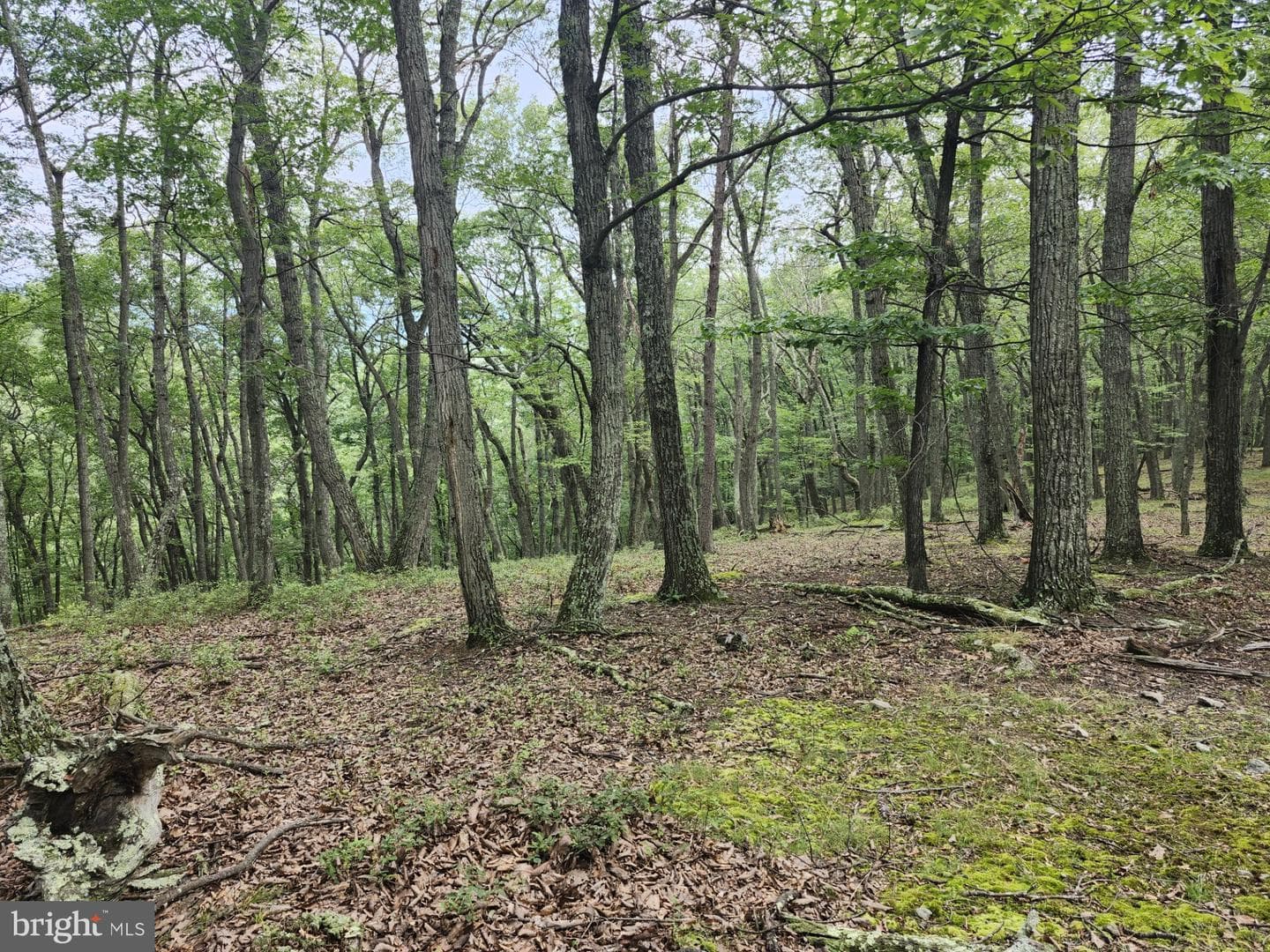 6836 State Road 55 photo 33