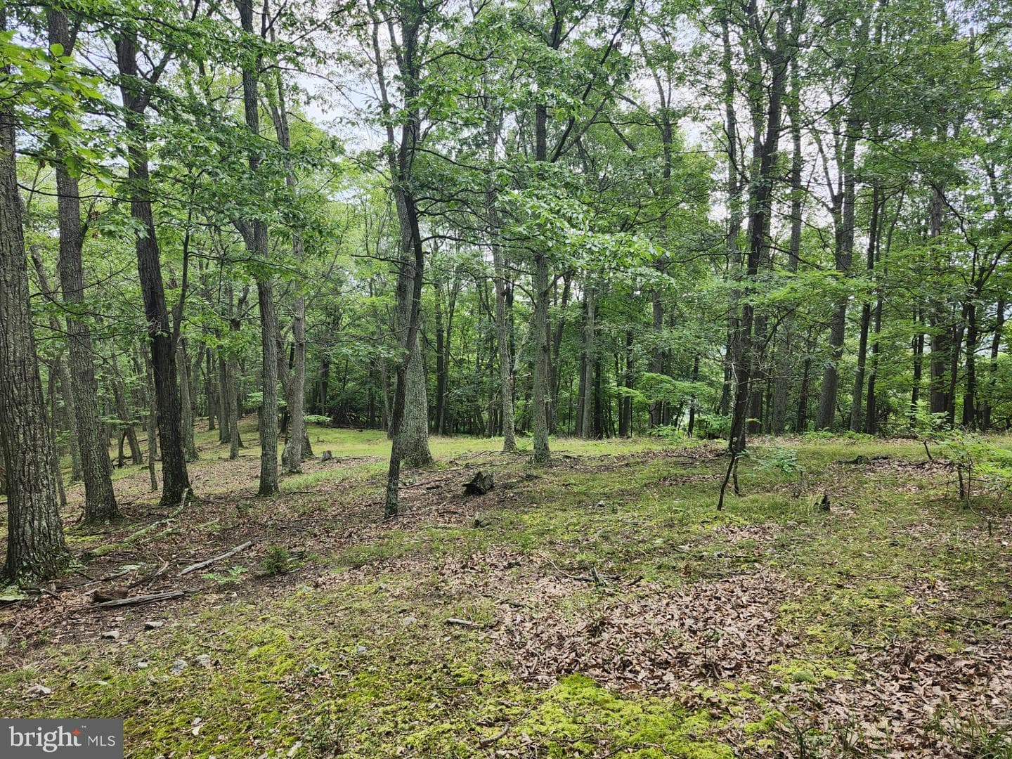6836 State Road 55 photo 34