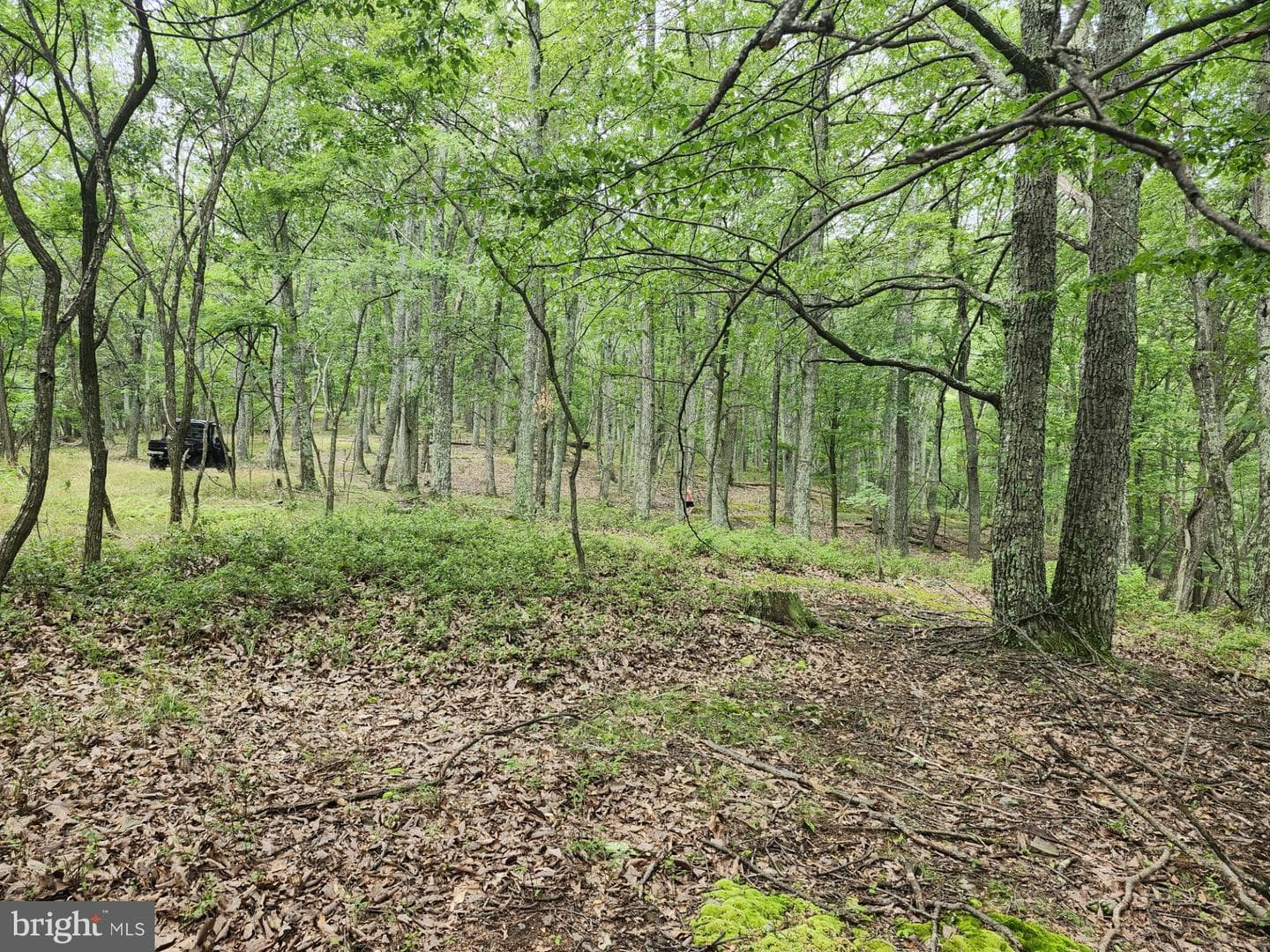 6836 State Road 55 photo 35