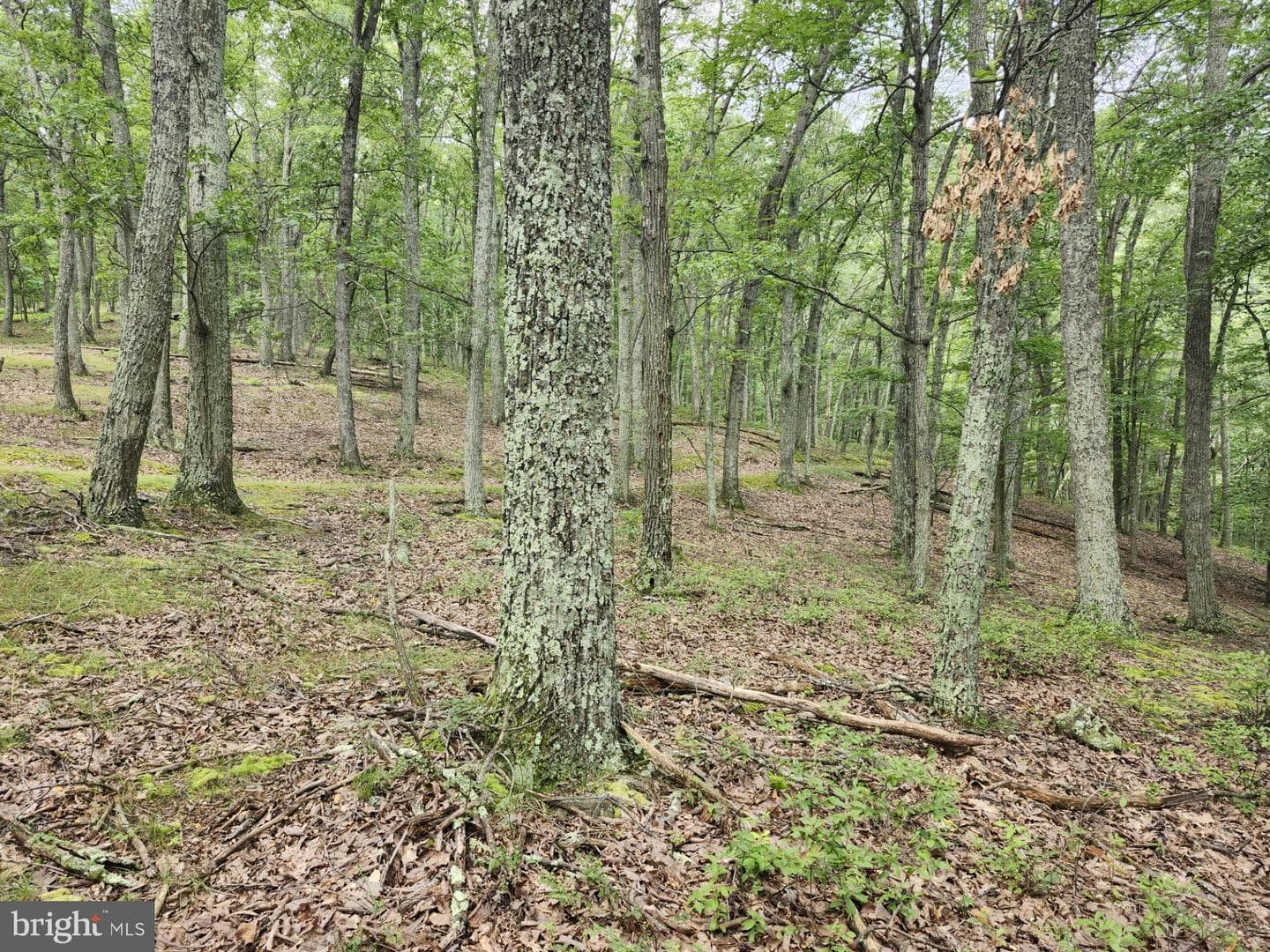 6836 State Road 55 photo 37