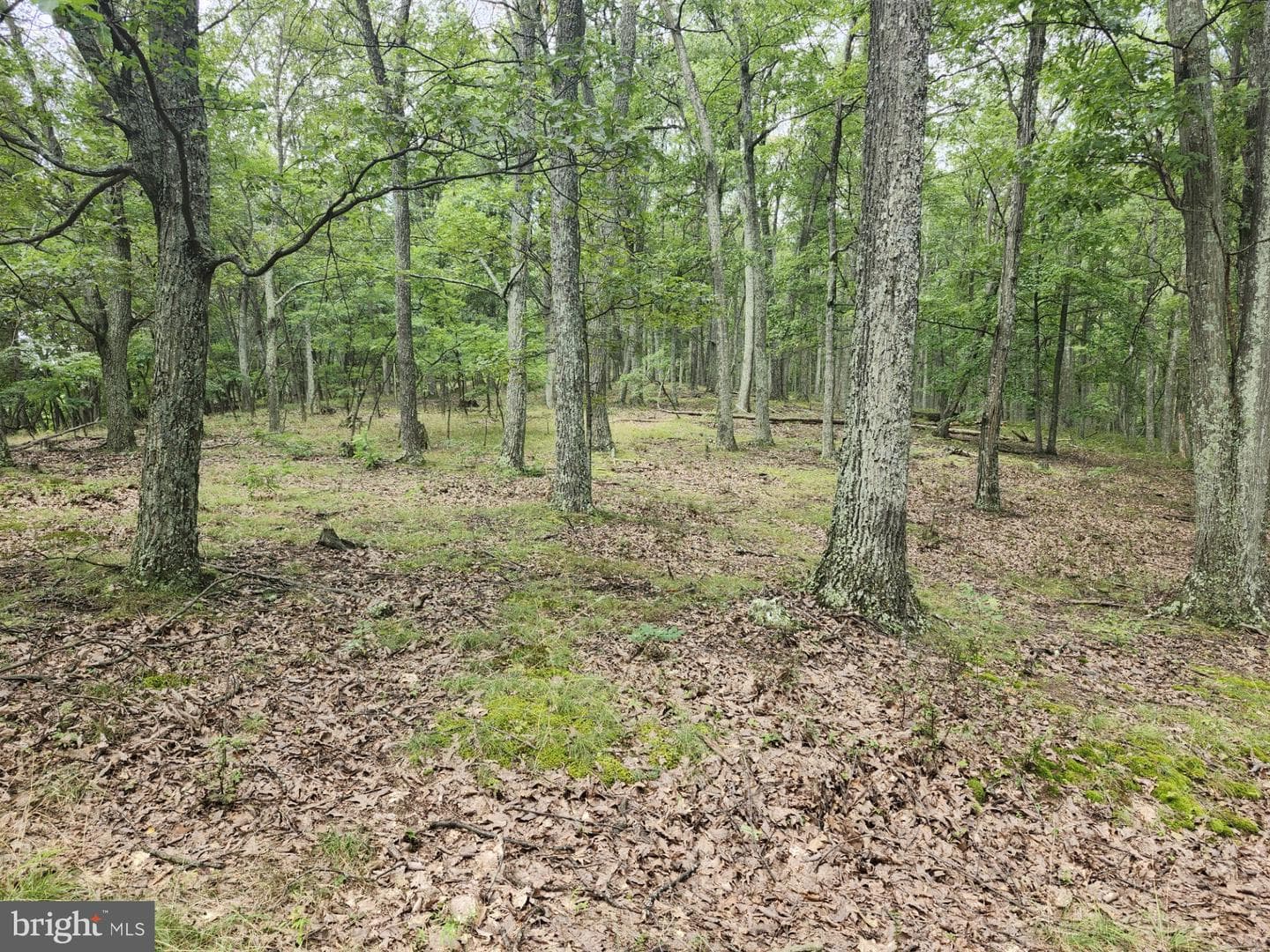 6836 State Road 55 photo 38