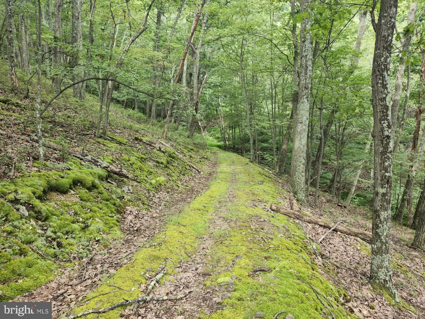 6836 State Road 55 photo 39