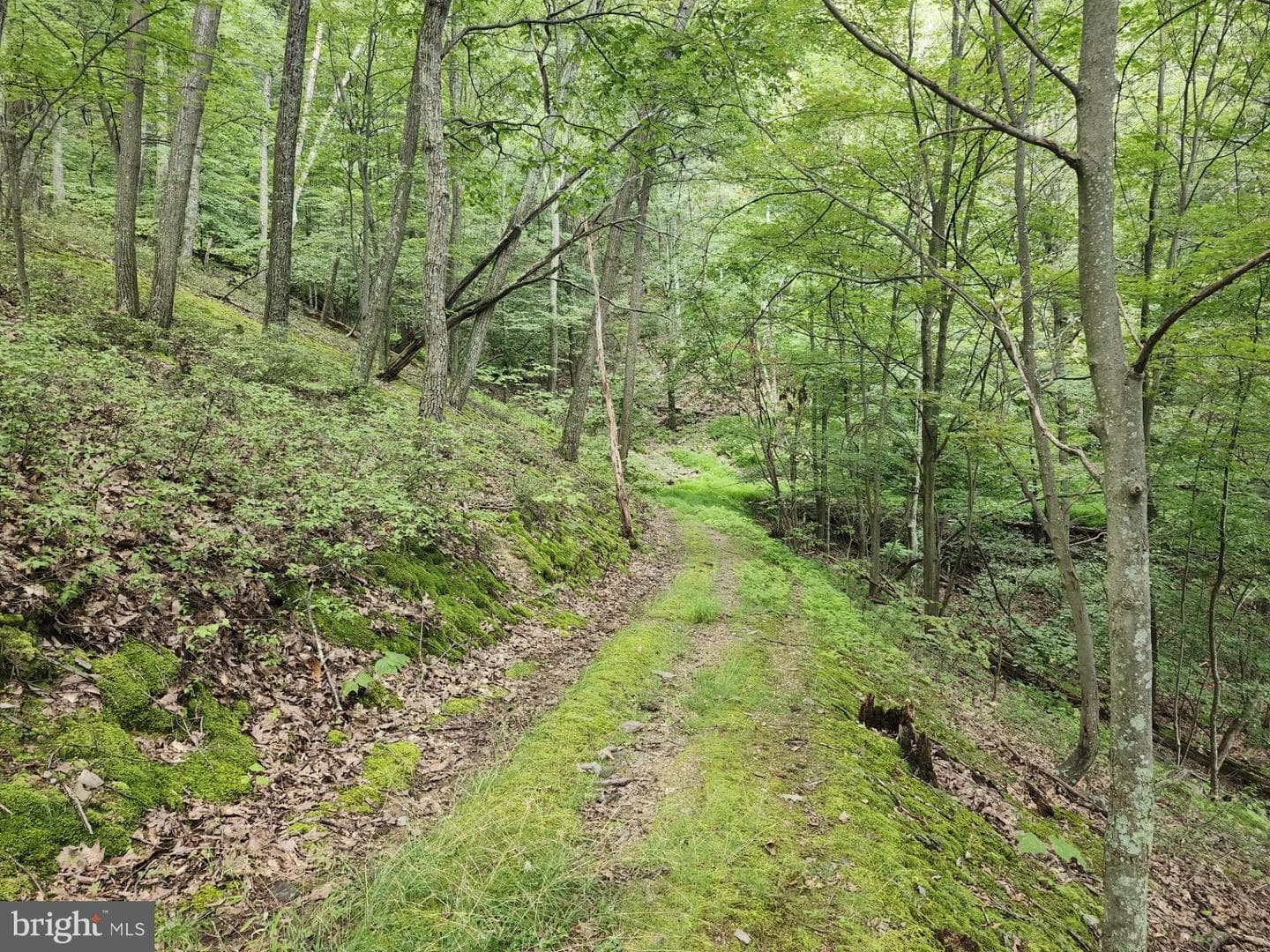 6836 State Road 55 photo 40