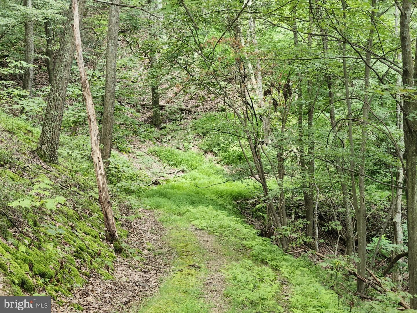 6836 State Road 55 photo 41