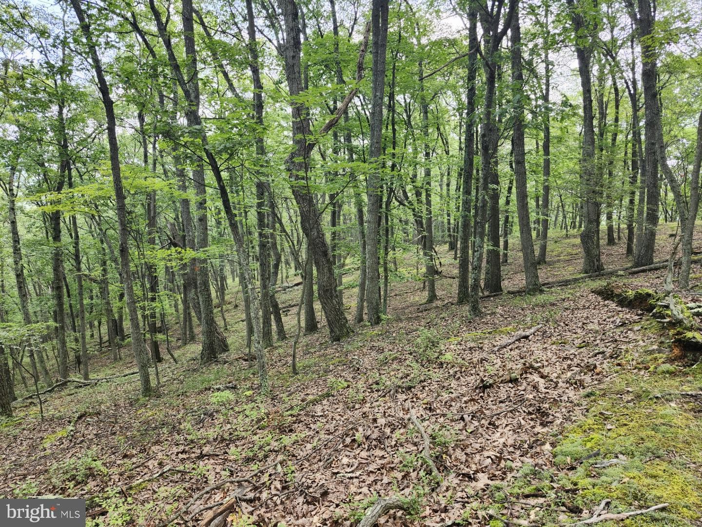 6836 State Road 55 photo 43