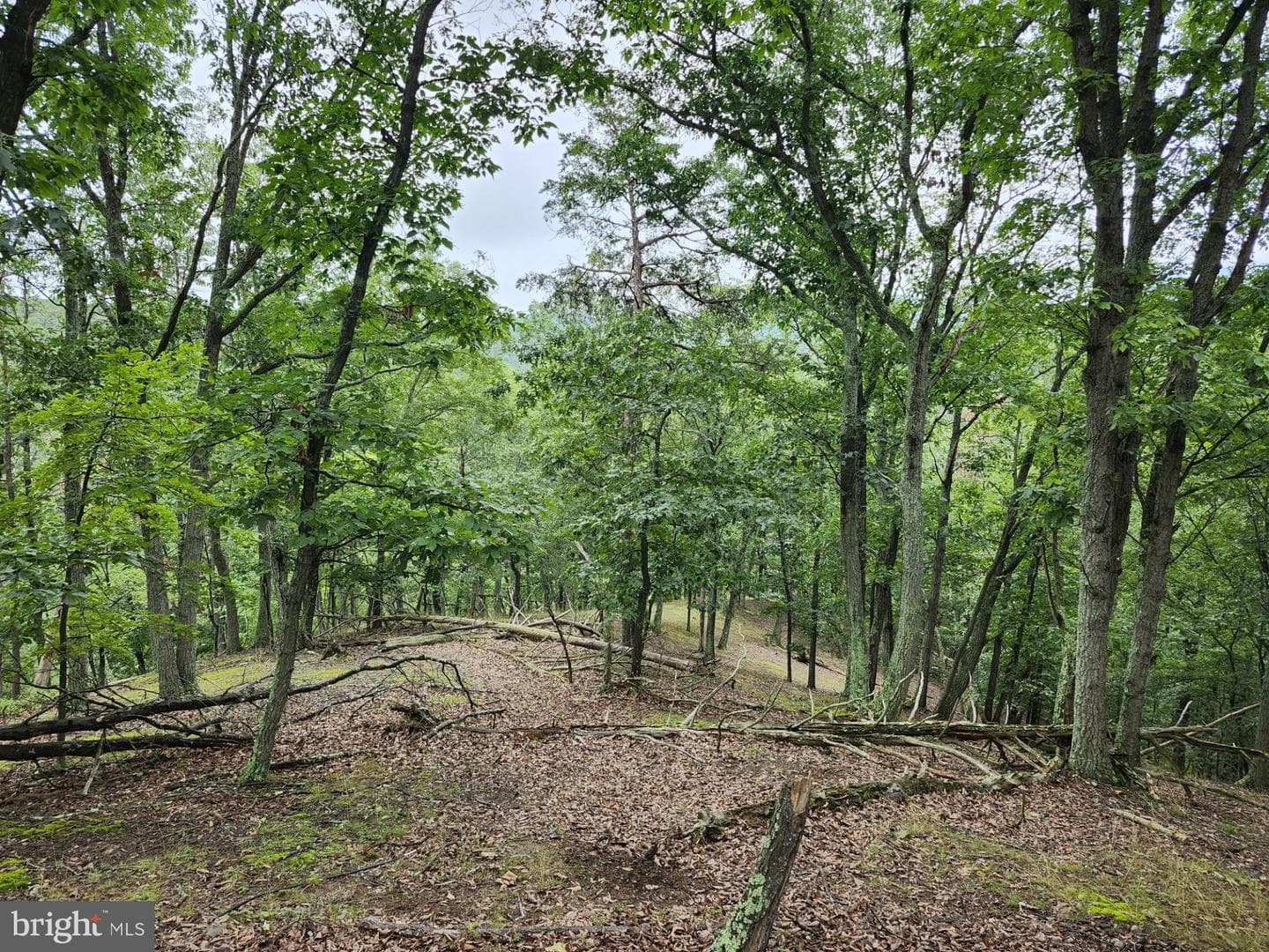 6836 State Road 55 photo 45