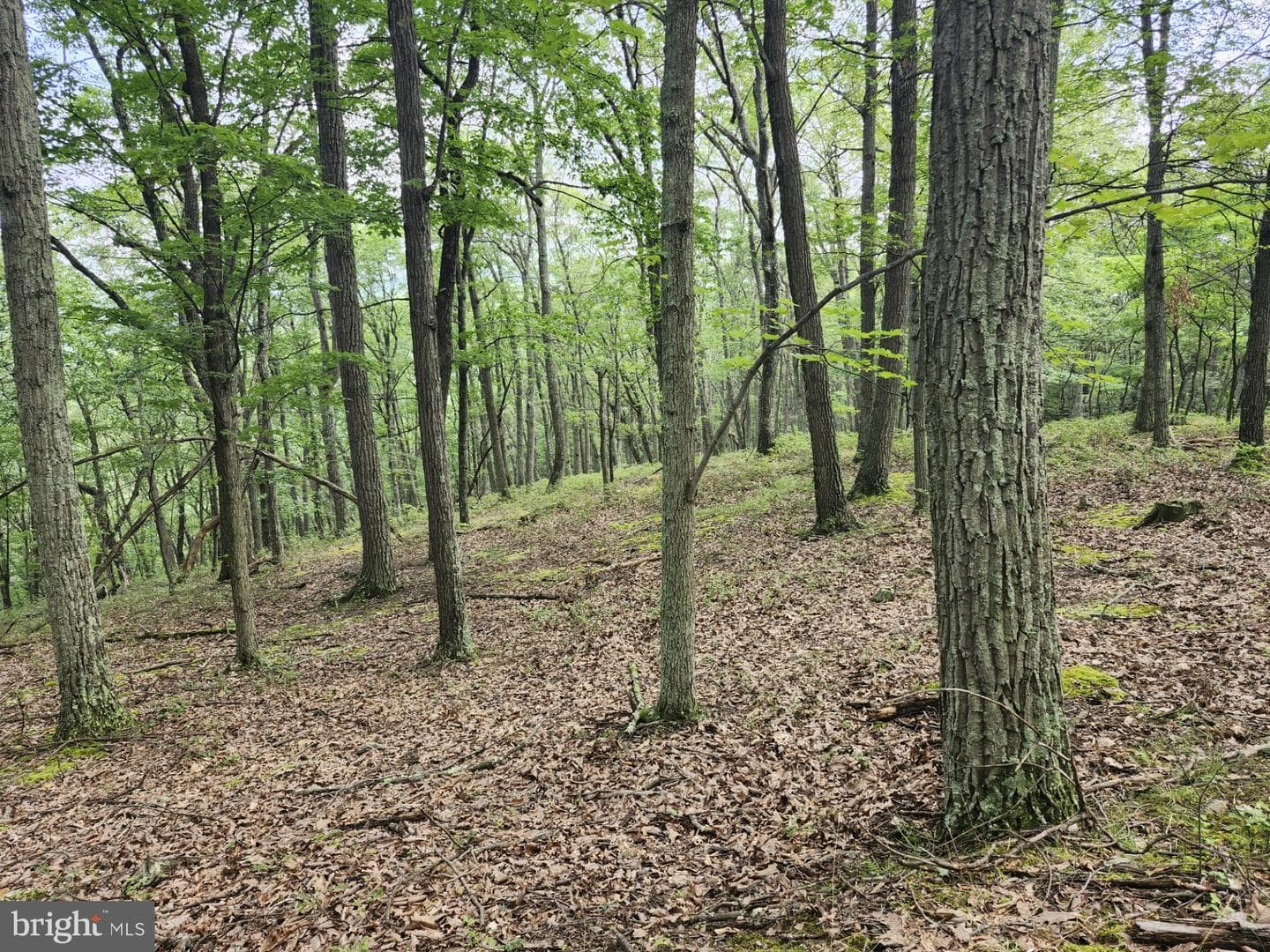 6836 State Road 55 photo 46