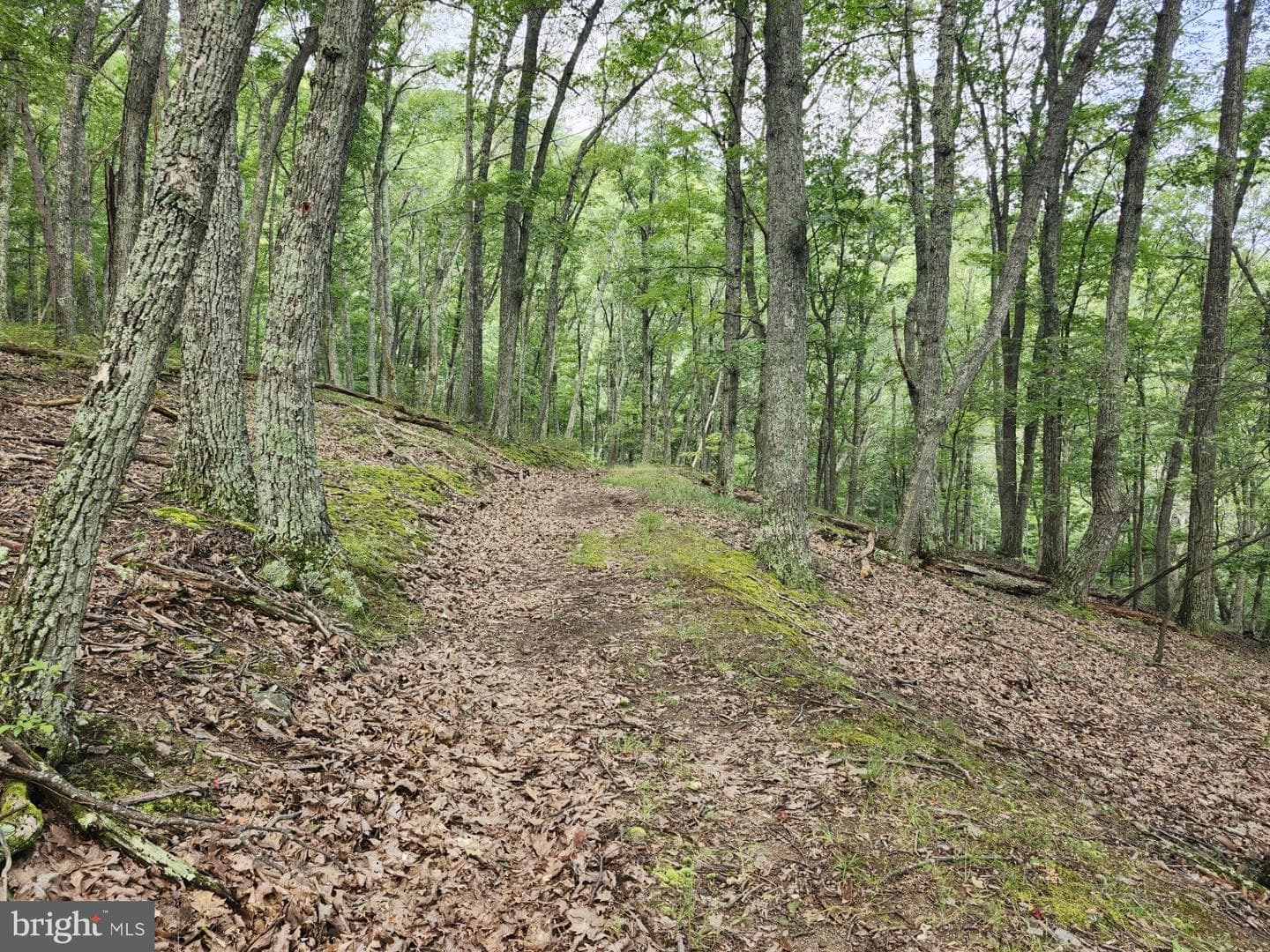 6836 State Road 55 photo 47