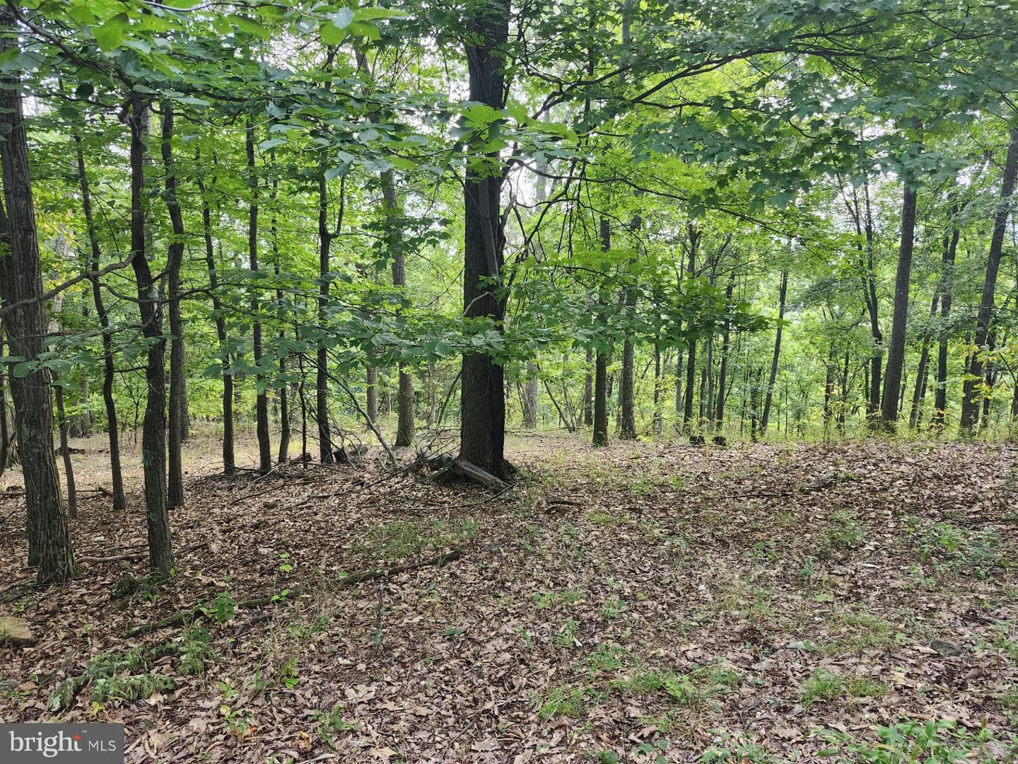 6836 State Road 55 photo 48