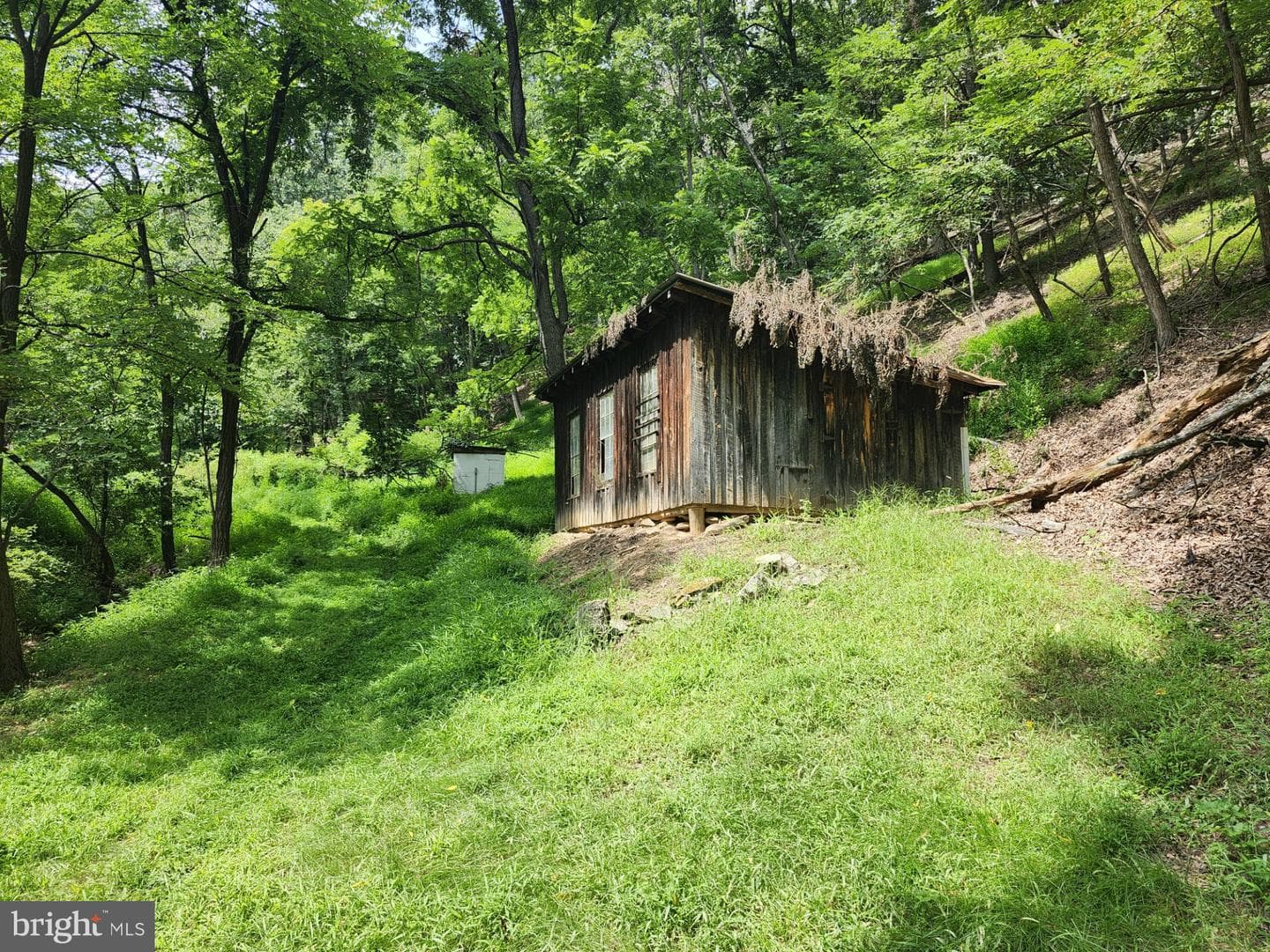 6836 State Road 55 photo 51