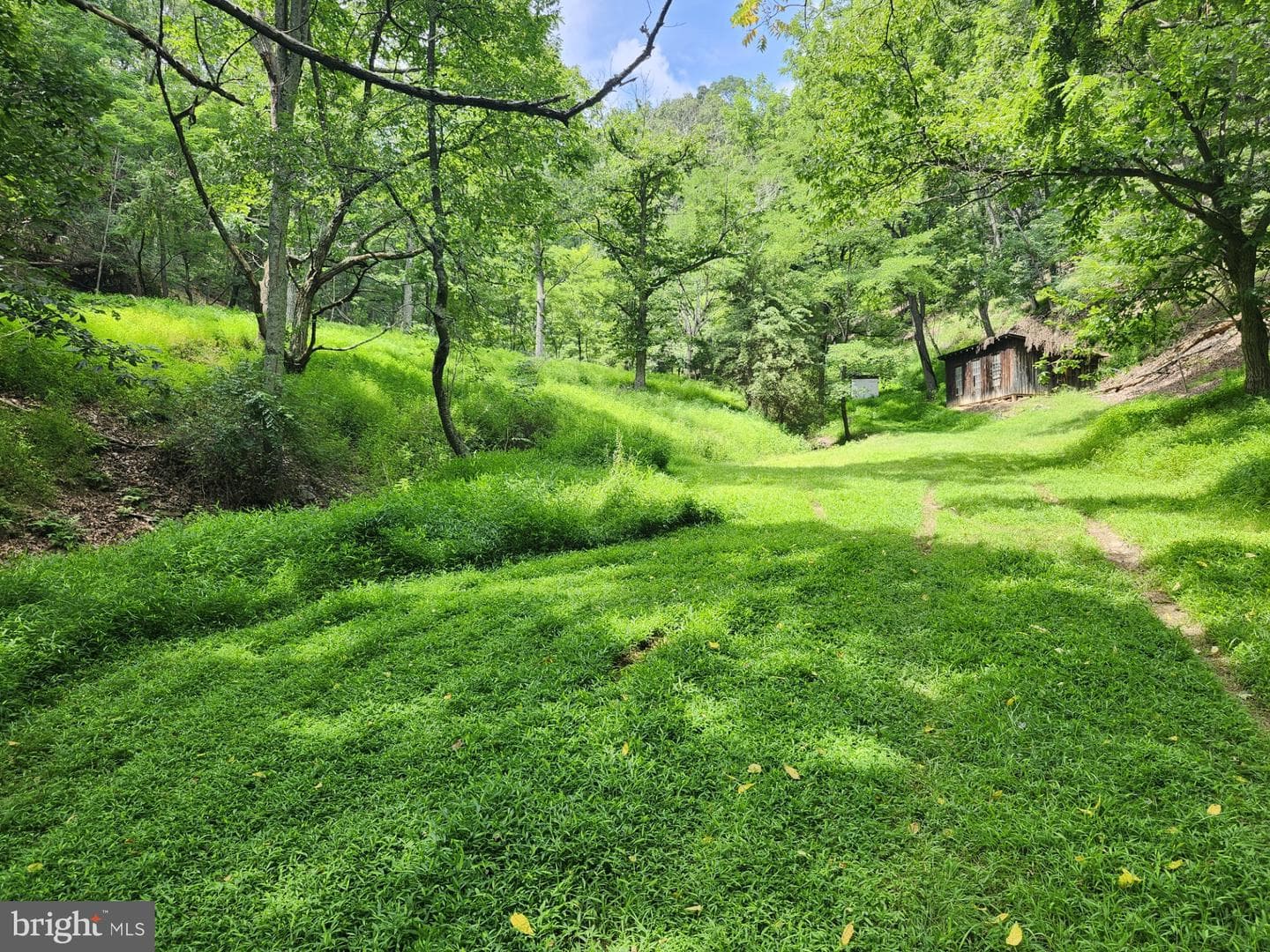 6836 State Road 55 photo 8