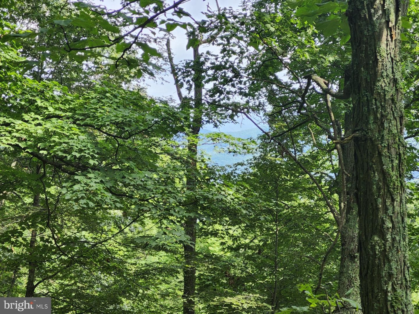 6836 State Road 55 photo 80