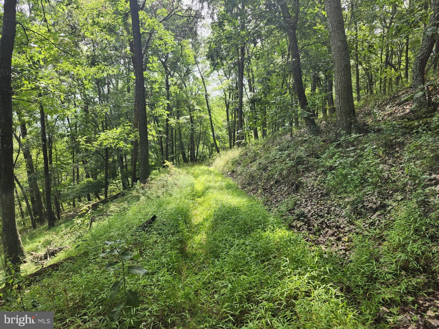 6836 State Road 55 photo 81