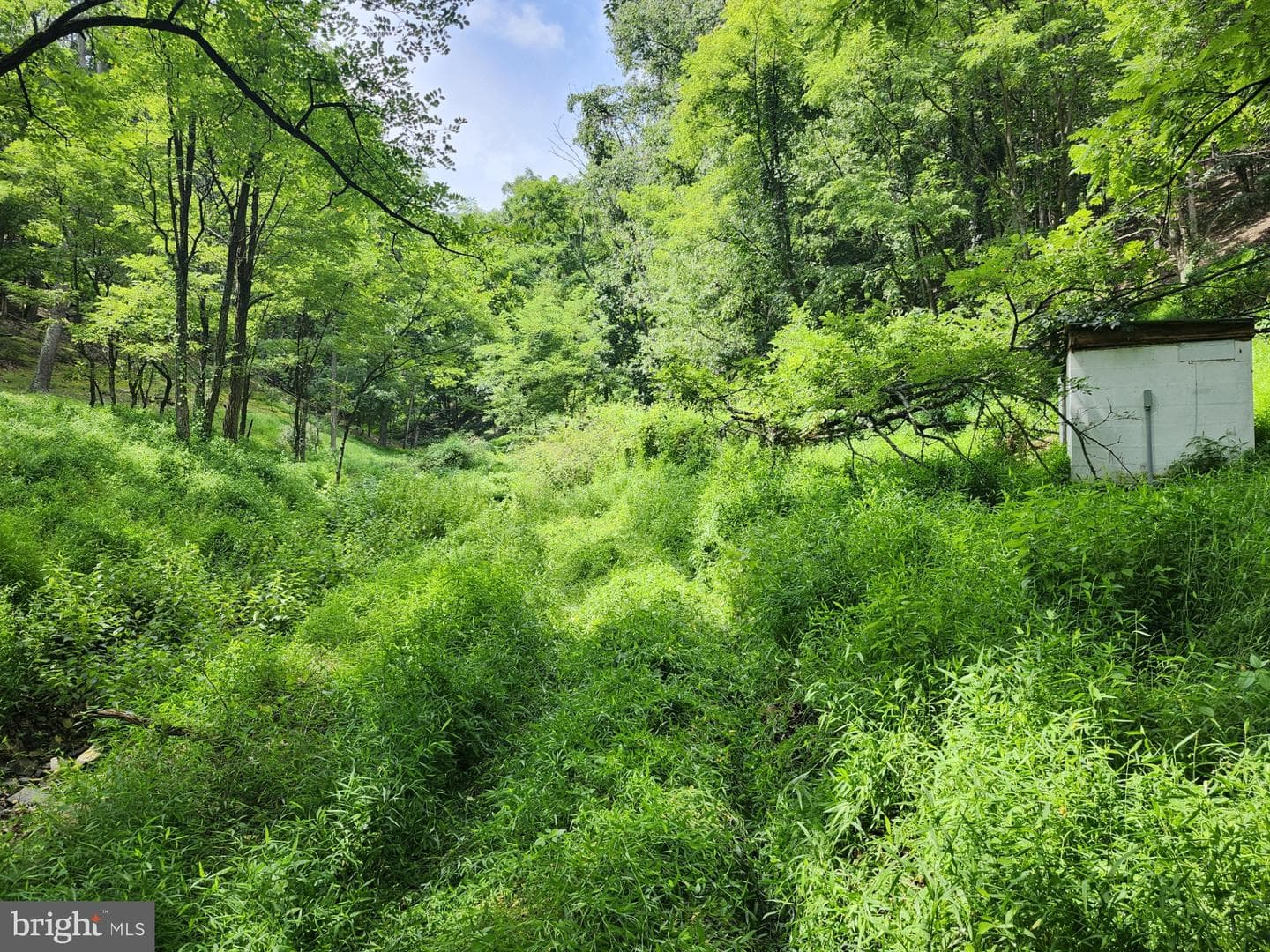 6836 State Road 55 photo 86