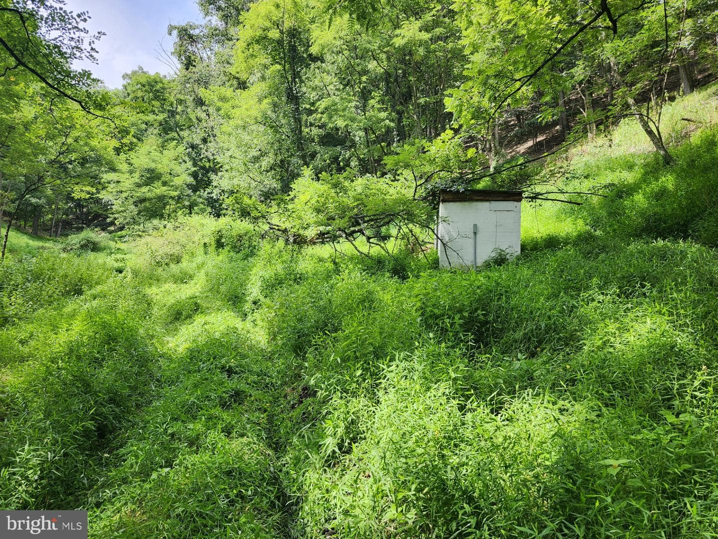 6836 State Road 55 photo 88
