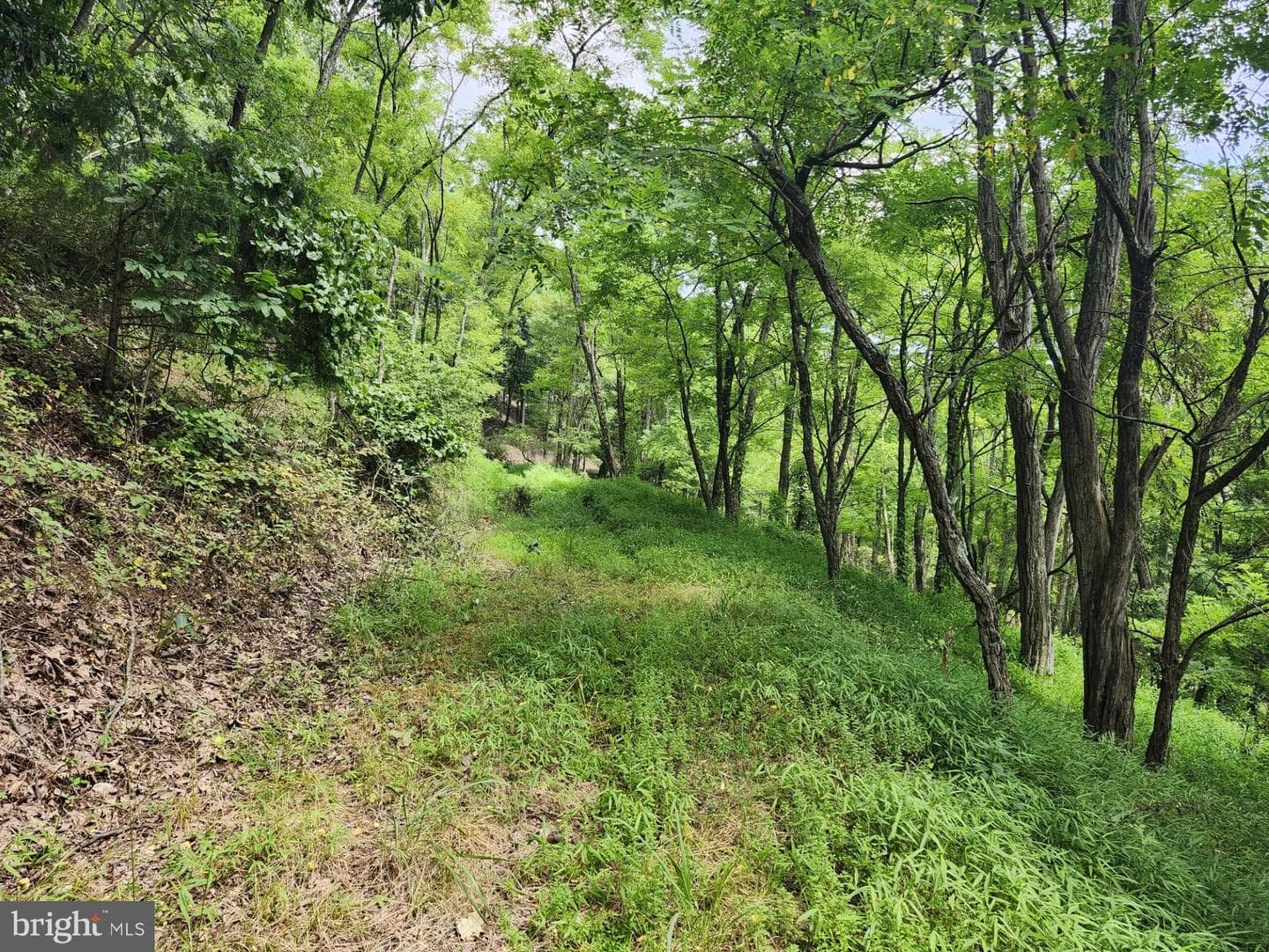 6836 State Road 55 photo 89