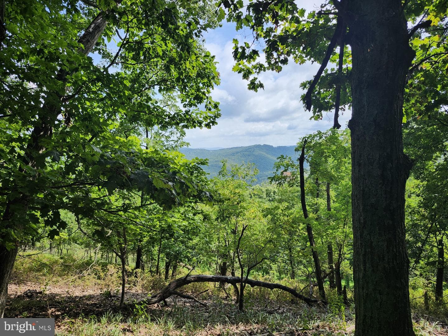 6836 State Road 55 photo 94
