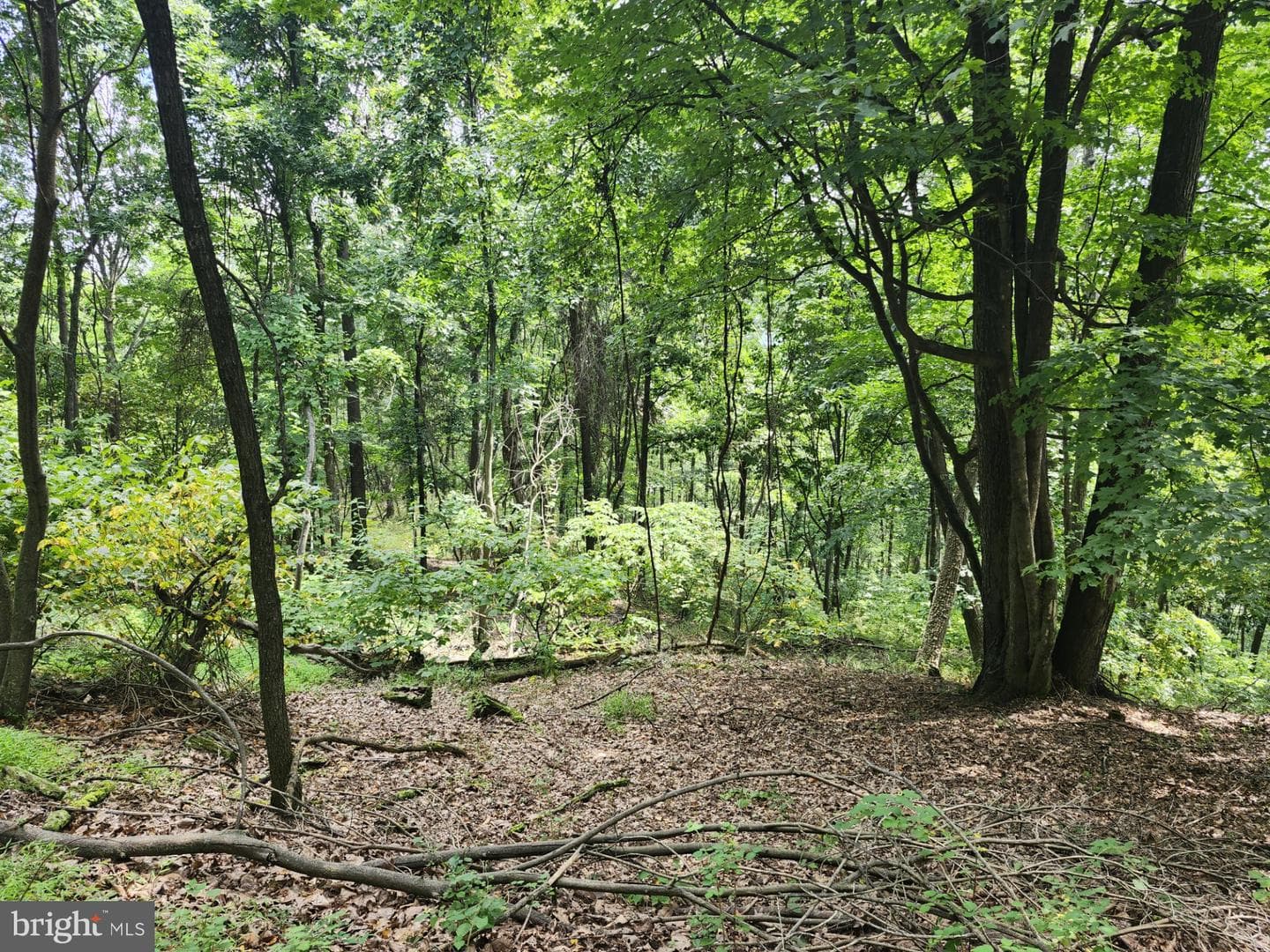 6836 State Road 55 photo 95