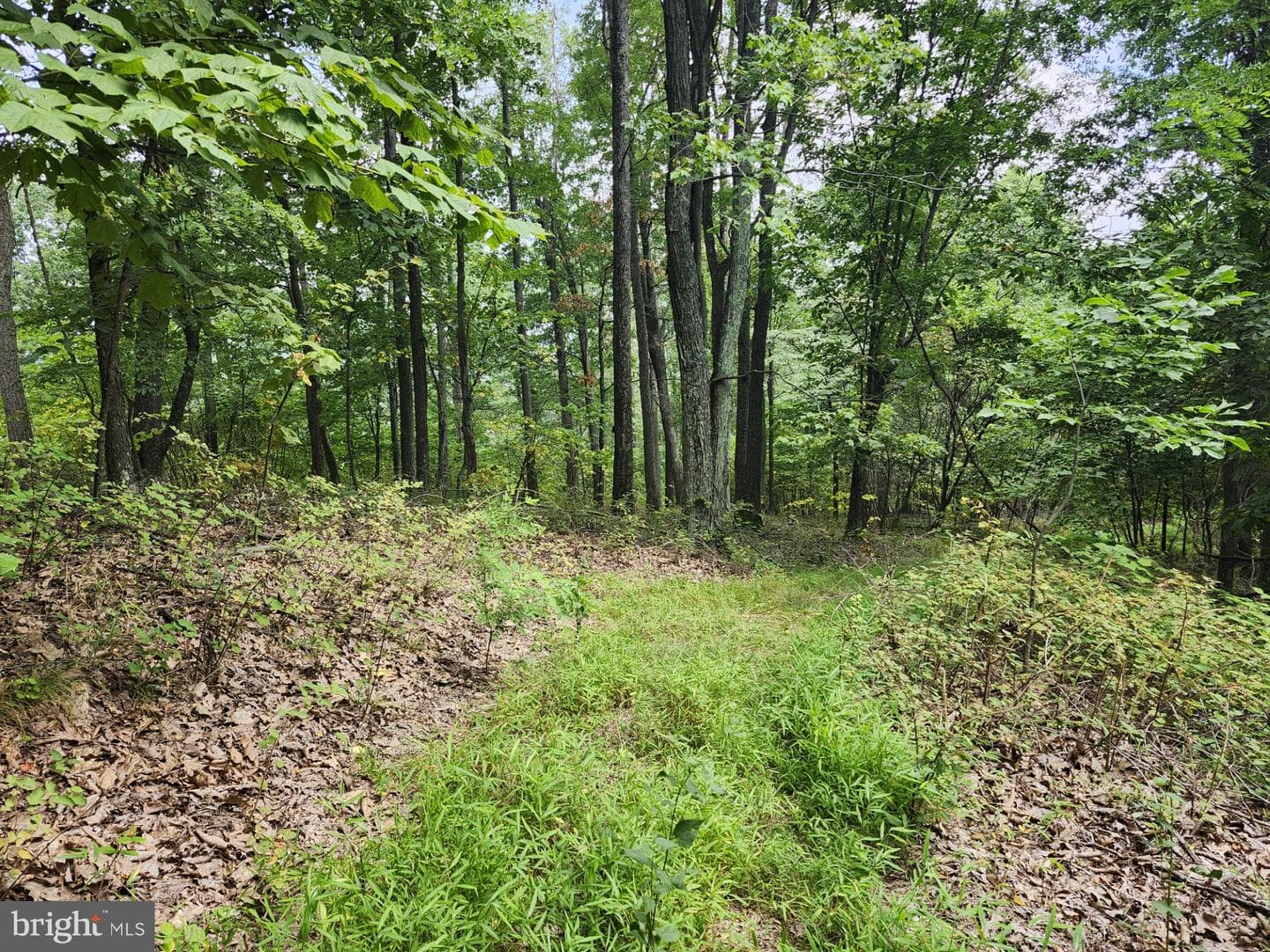 6836 State Road 55 photo 96