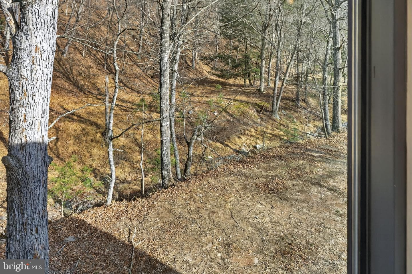 1956 Dove Hollow Road photo 52