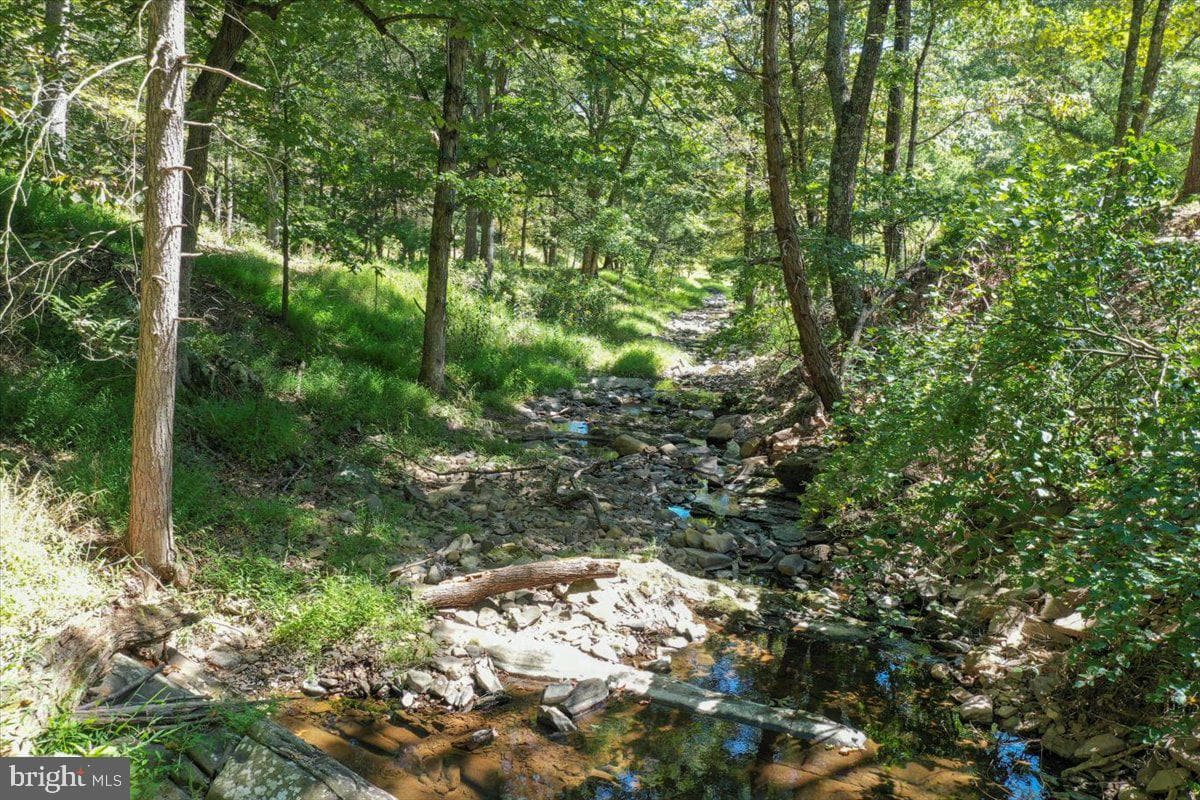 1956 Dove Hollow Road photo 77