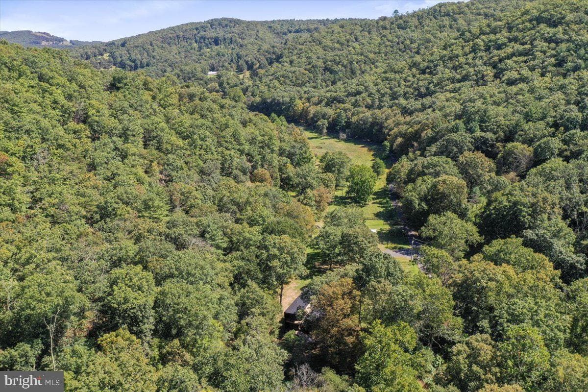 1956 Dove Hollow Road photo 80