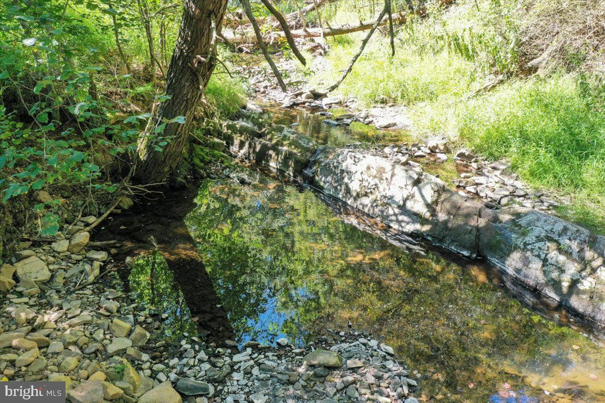 1956 Dove Hollow Road photo 85
