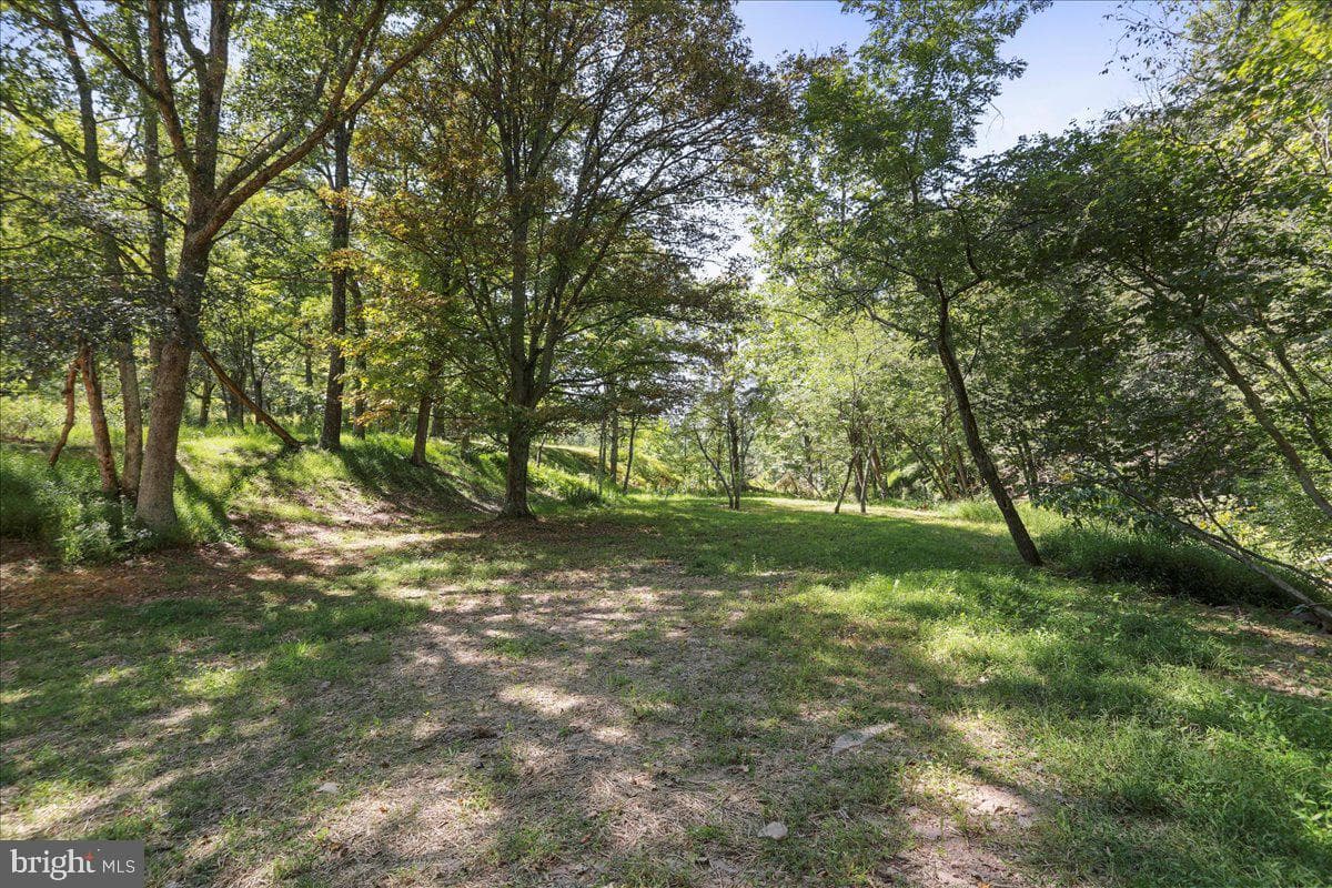 1956 Dove Hollow Road photo 92