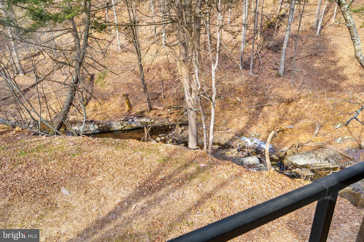 1956 Dove Hollow Road photo 99
