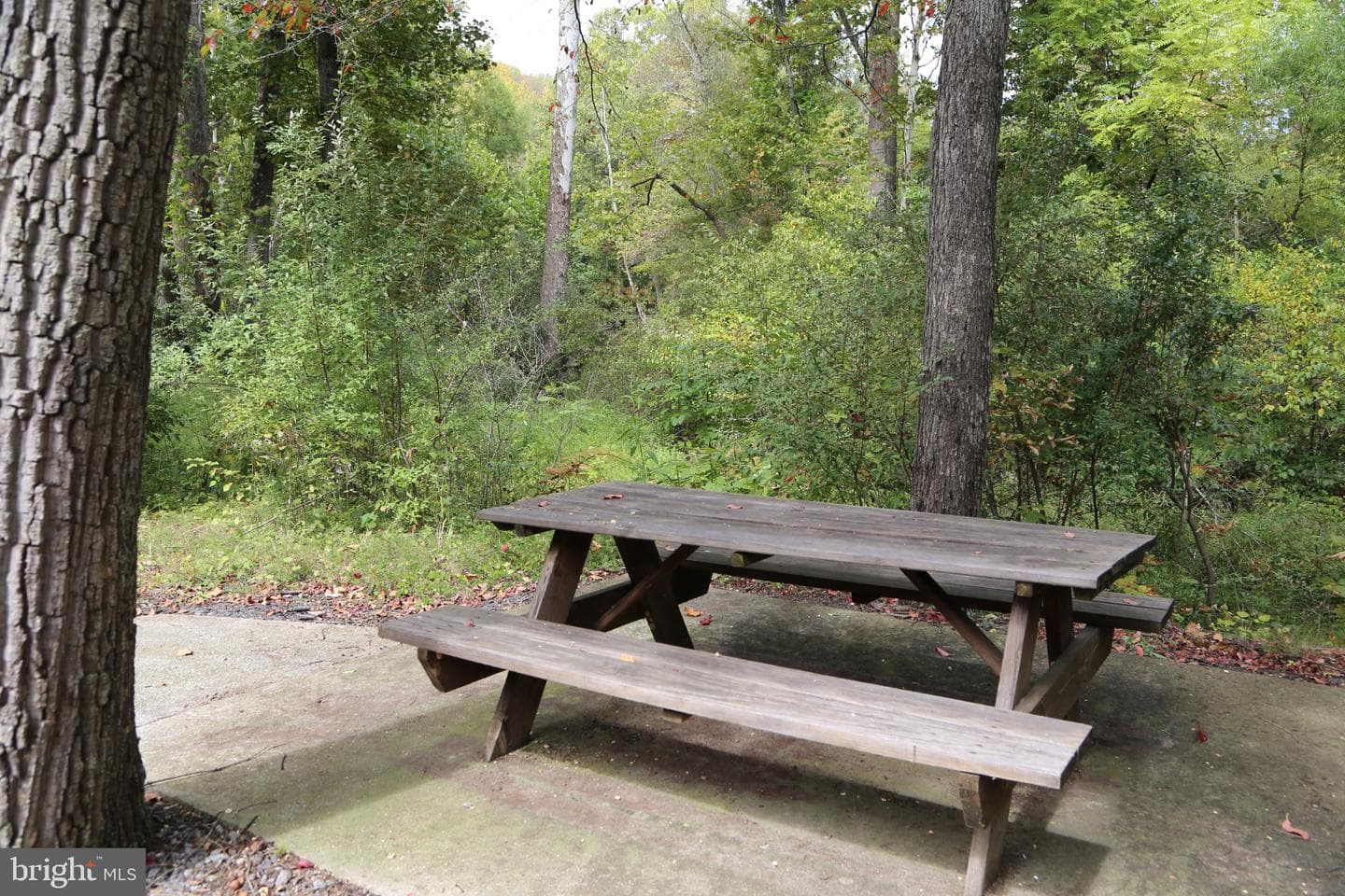 2868 Trout Run Road photo 30