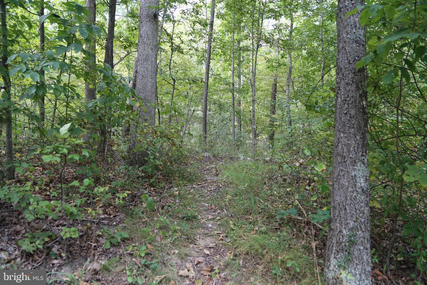 2868 Trout Run Road photo 40