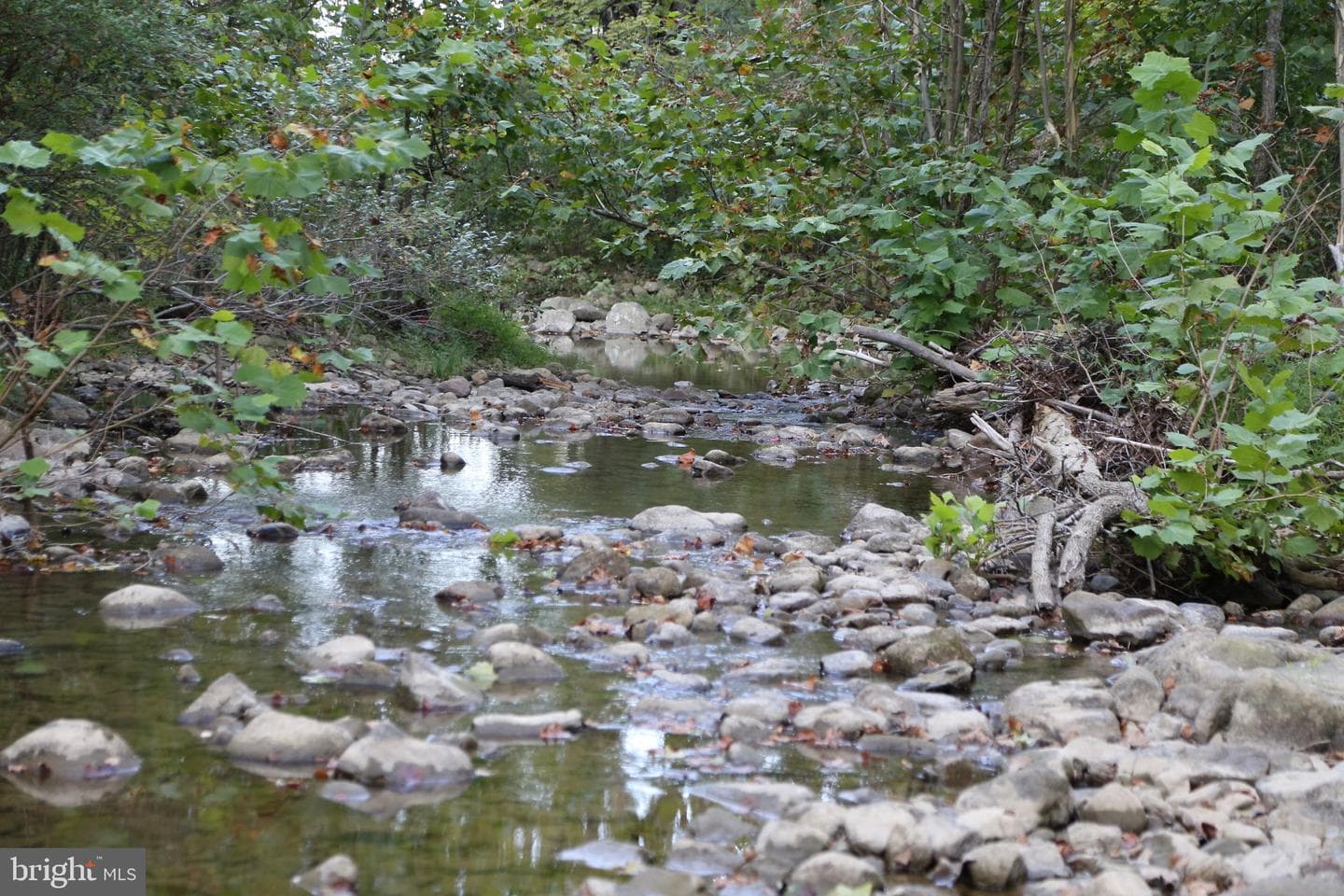 2868 Trout Run Road photo 41