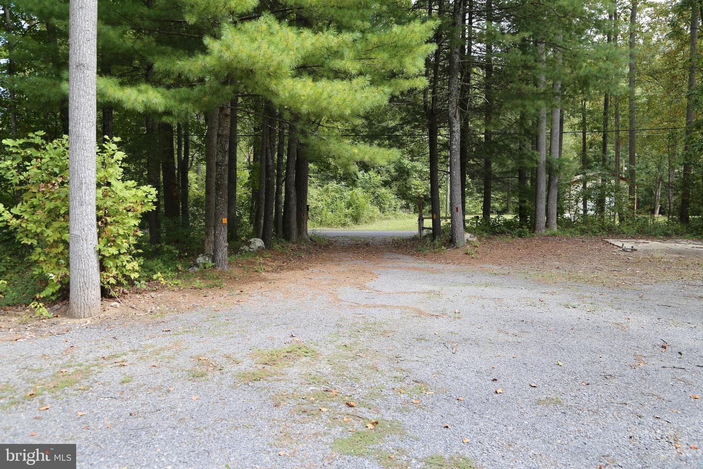 2868 Trout Run Road photo 43