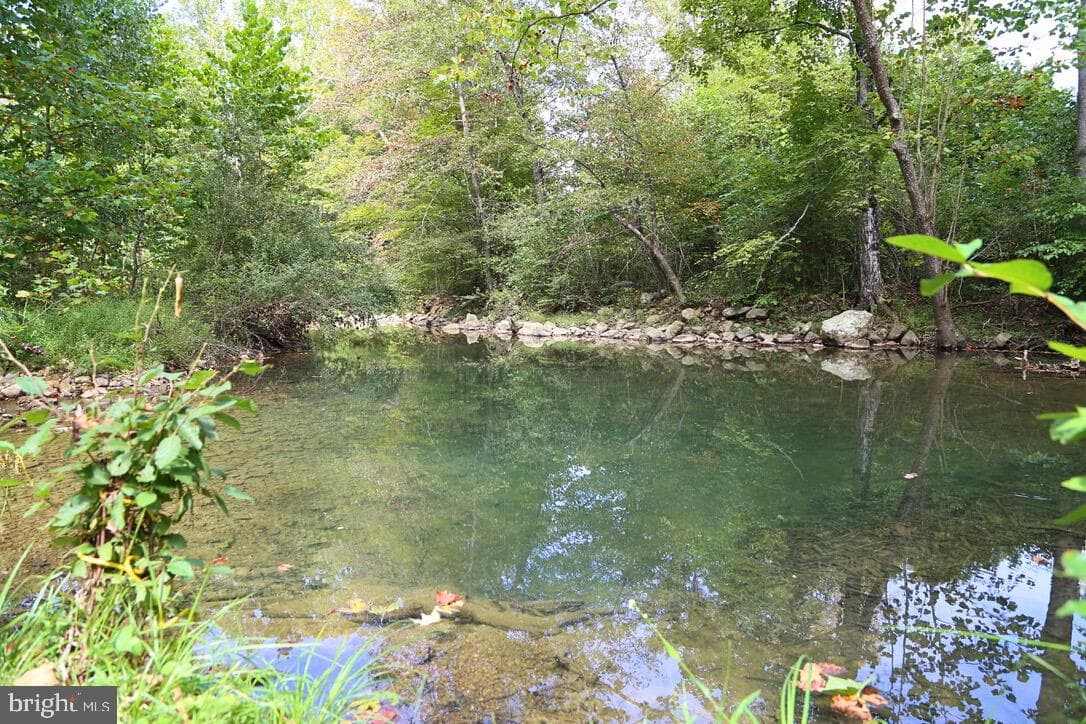 2868 Trout Run Road photo 5