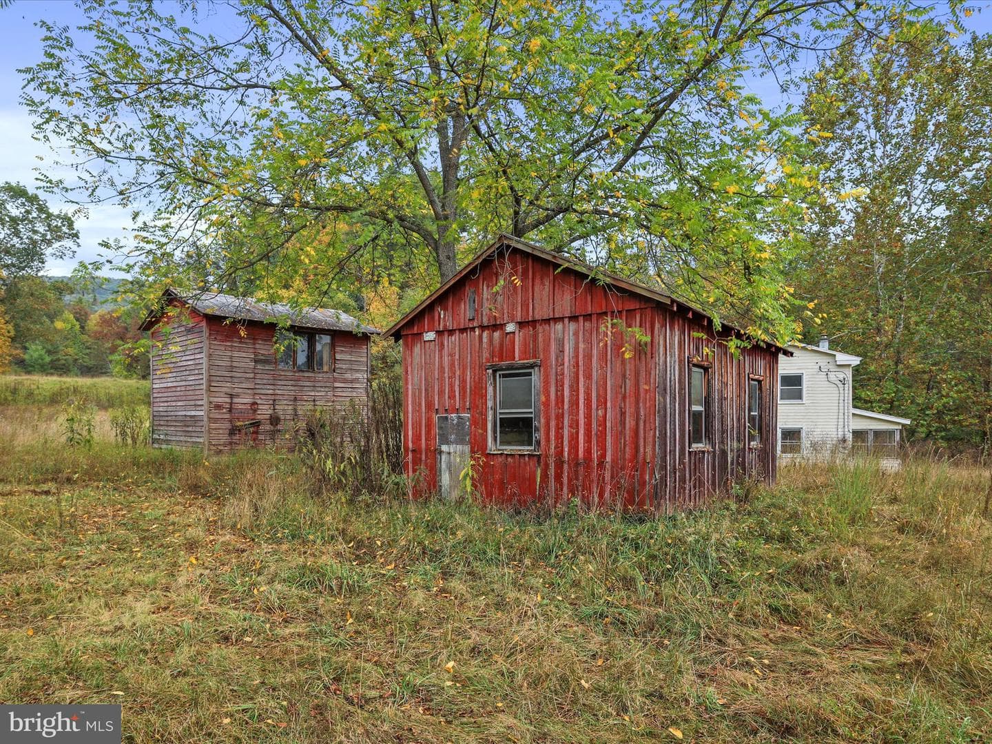 679 Falcon Road photo 63