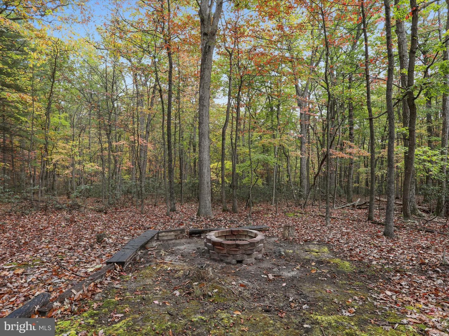 446 Black Ridge Road photo 29