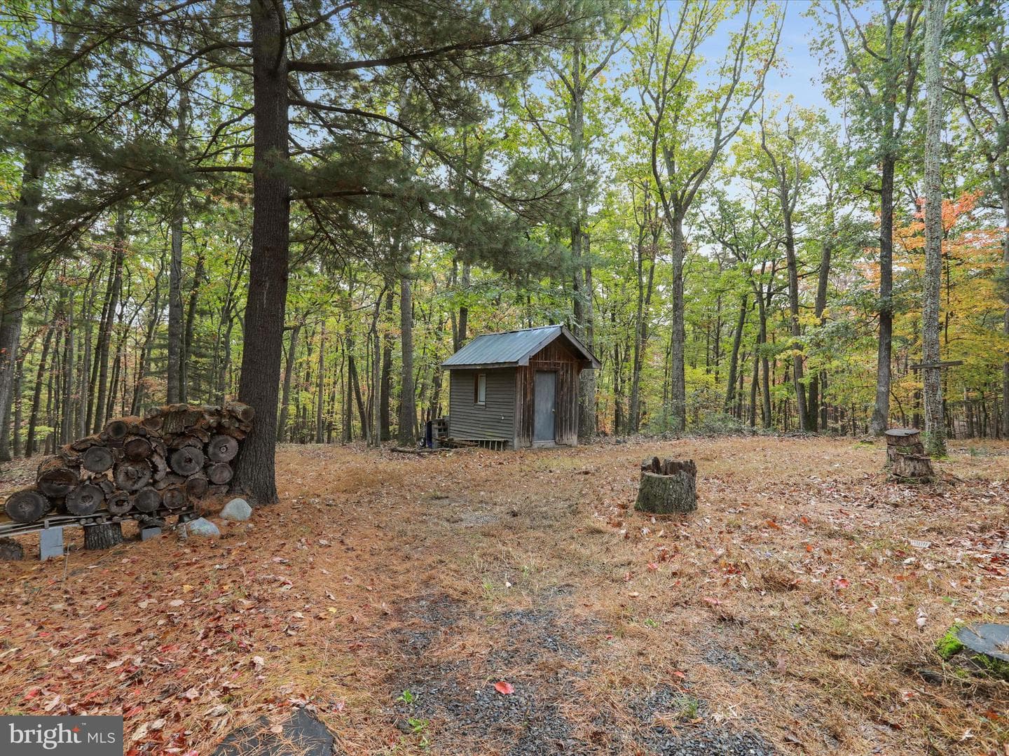 446 Black Ridge Road photo 30